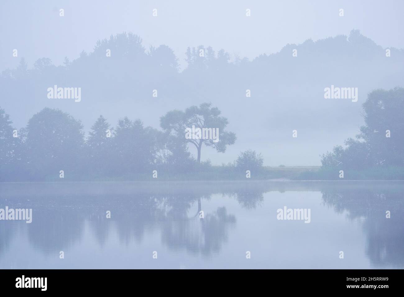 misty morning by the lake with calm water, fog and reflections of trees ...