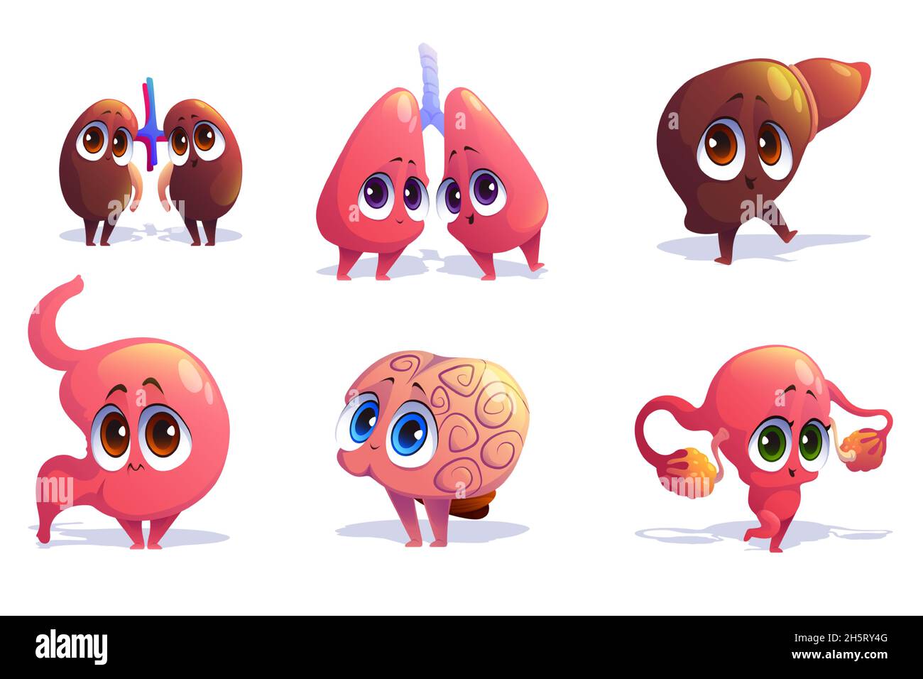 Cute characters of human internal organs isolated on white background. Vector set of cartoon funny brain, liver, kidneys, lungs, uterus with ovaries and stomach Stock Vector