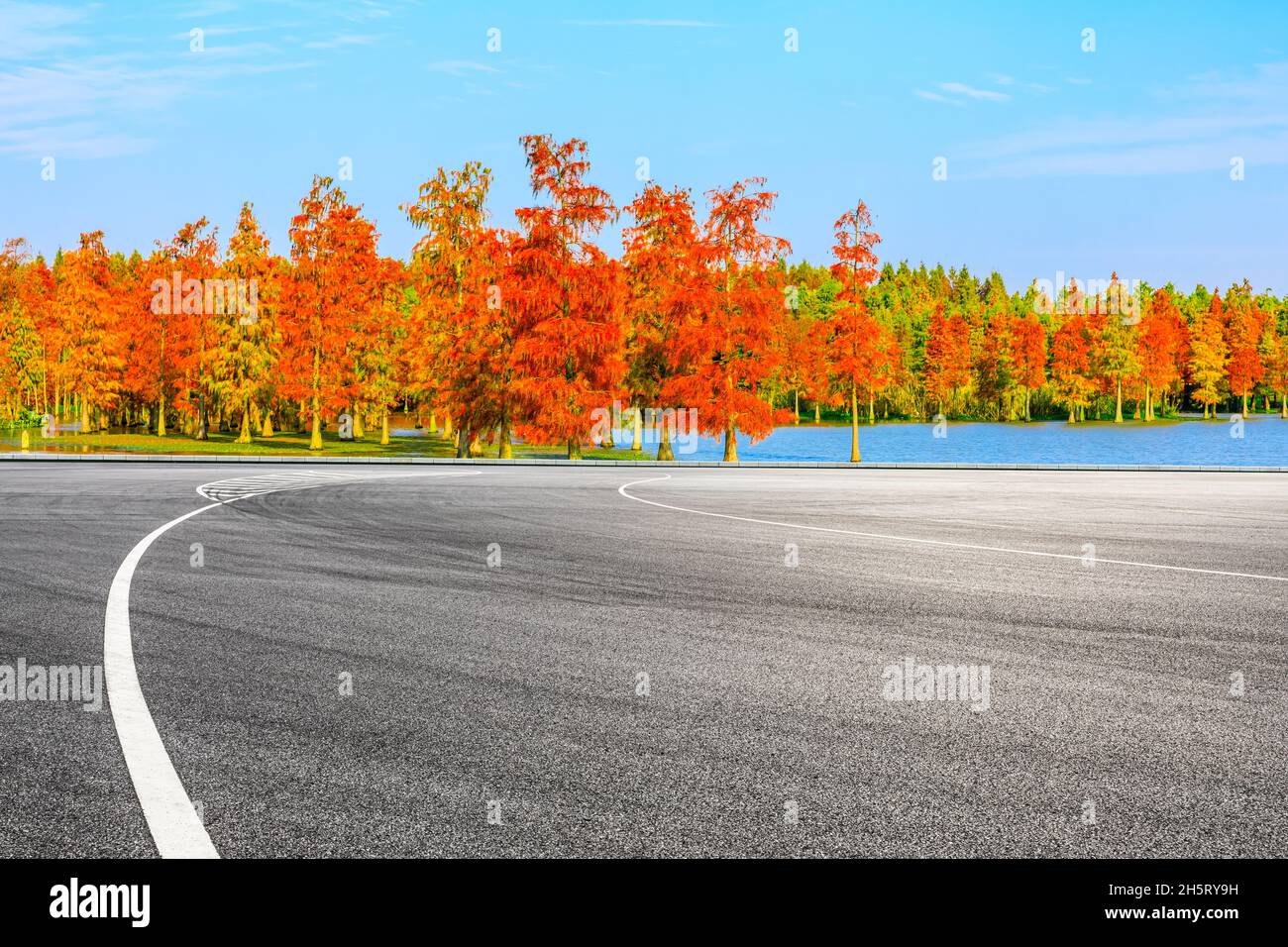 Empty road in forest asphalt hi-res stock photography and images - Alamy