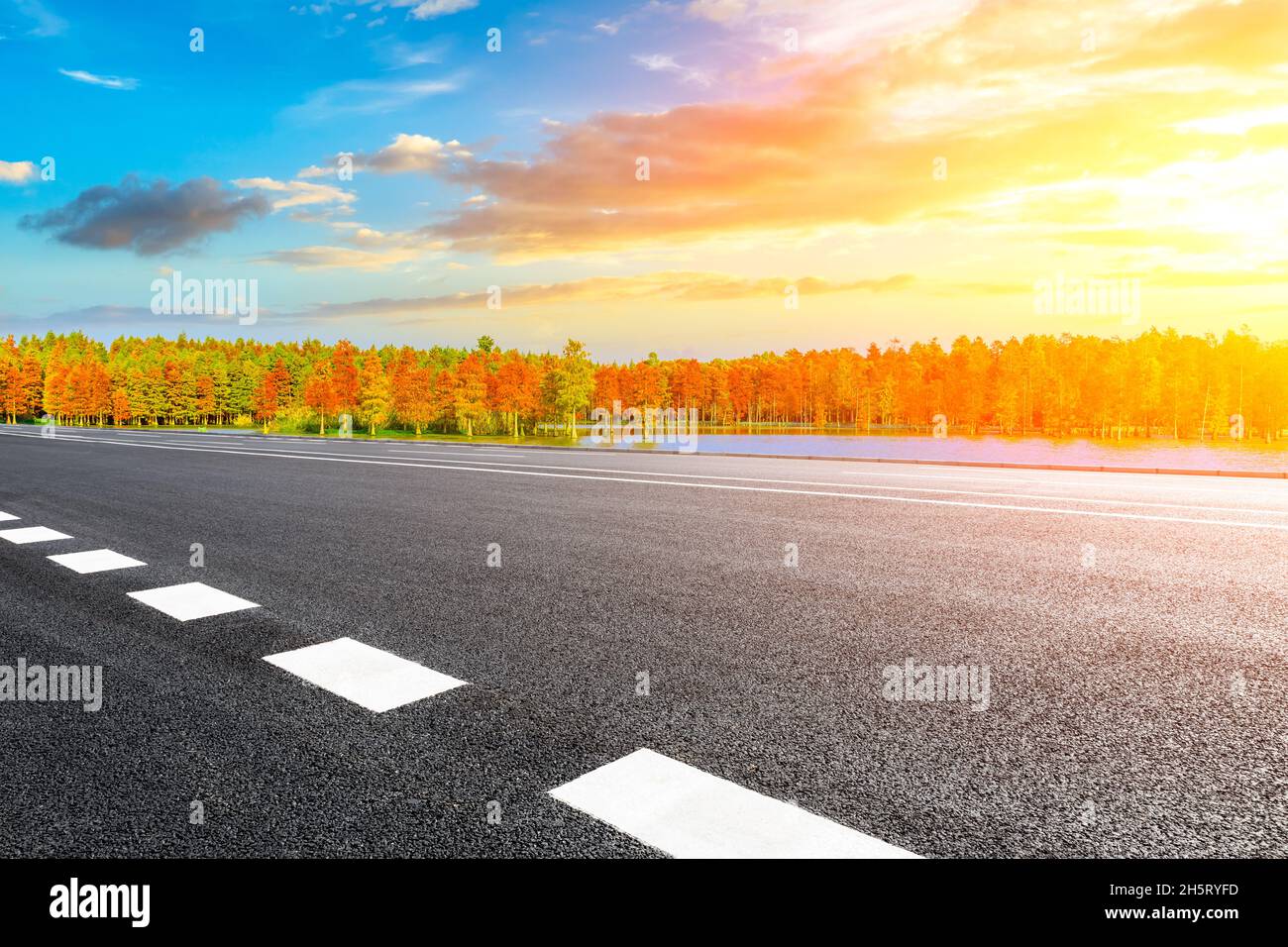 Asphalt road and colorful forest natural landscape in autumn season ...