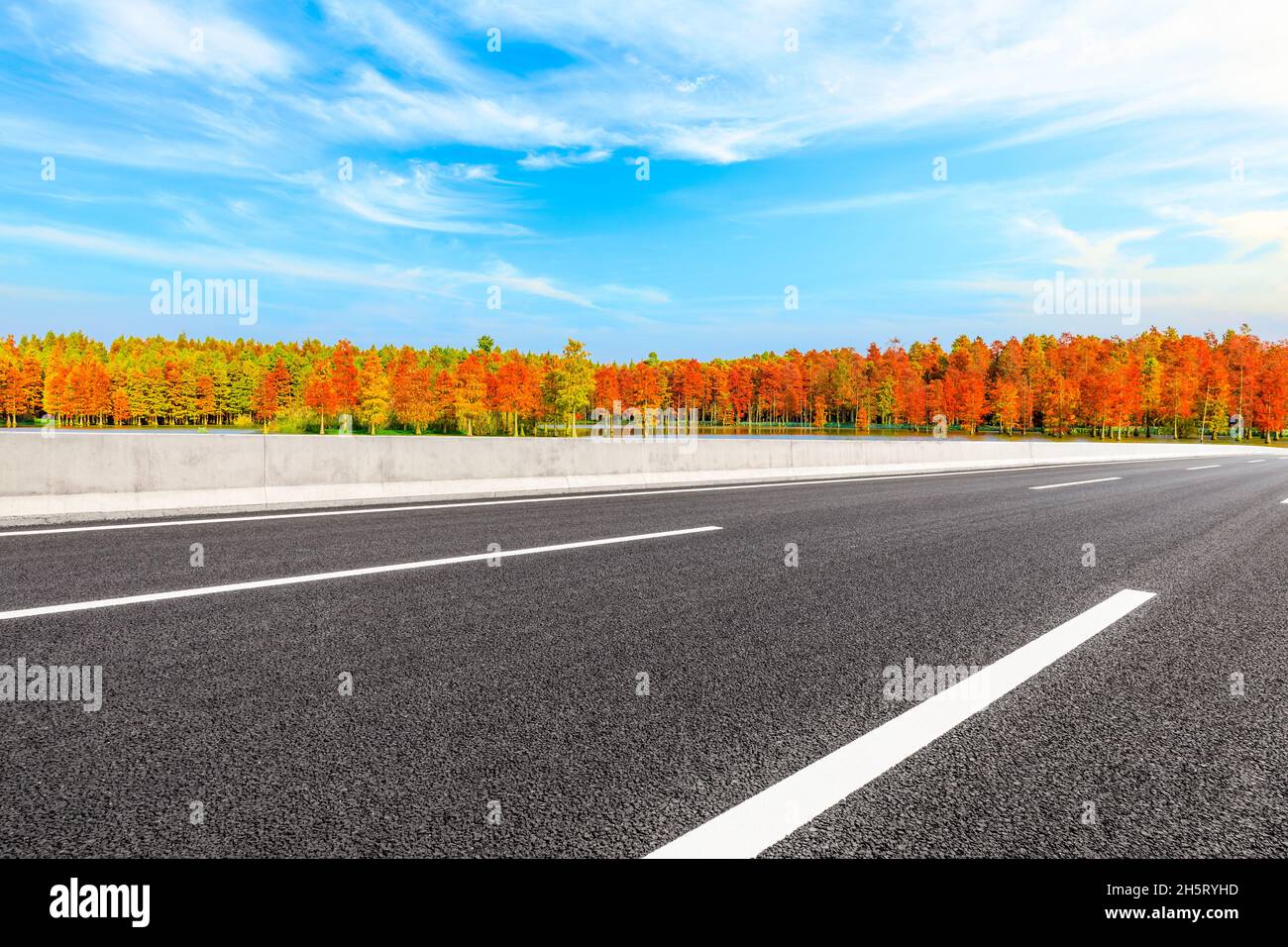 Asphalt road and colorful forest natural landscape in autumn season ...