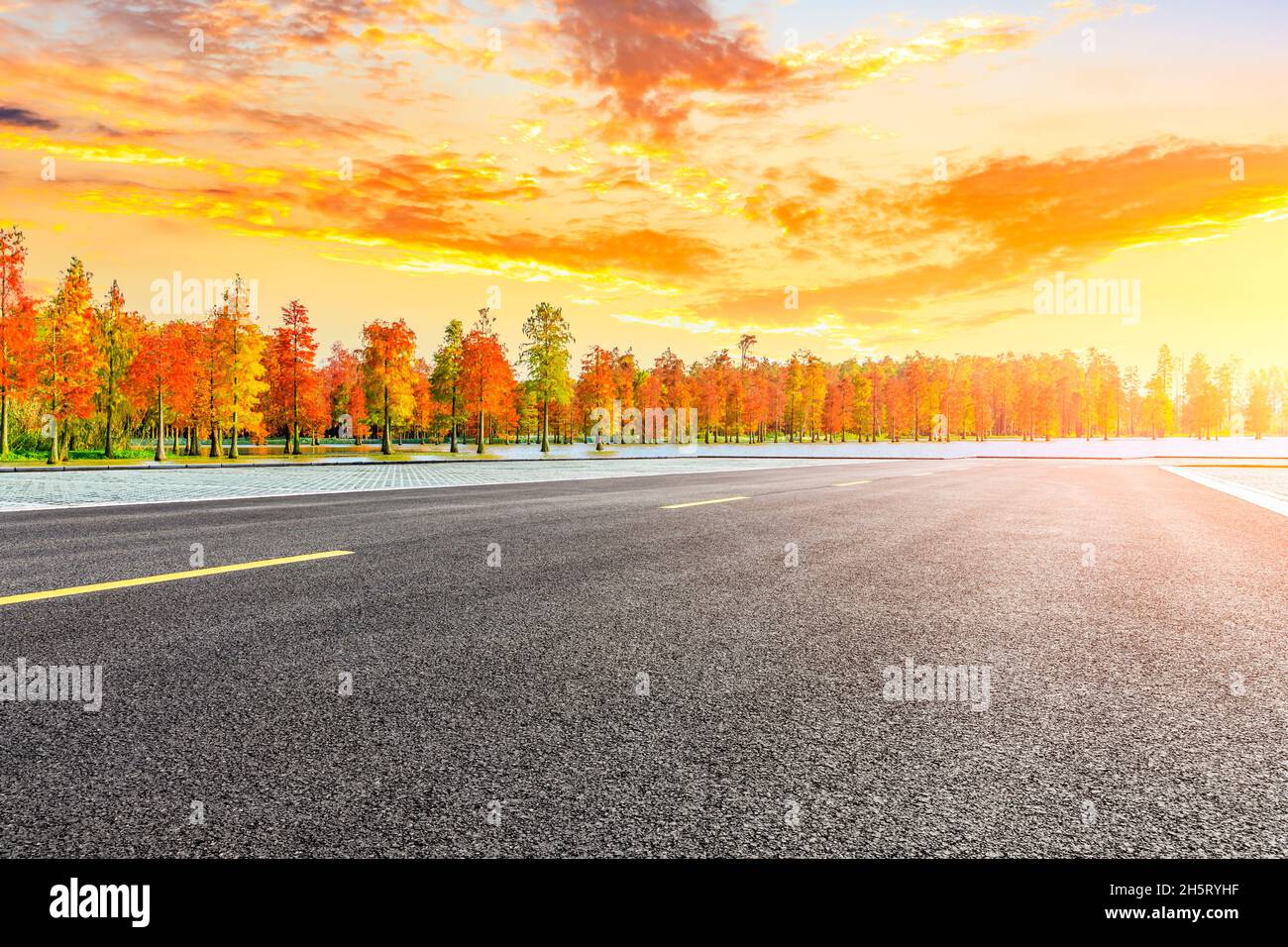 Asphalt road and colorful forest natural landscape in autumn season ...