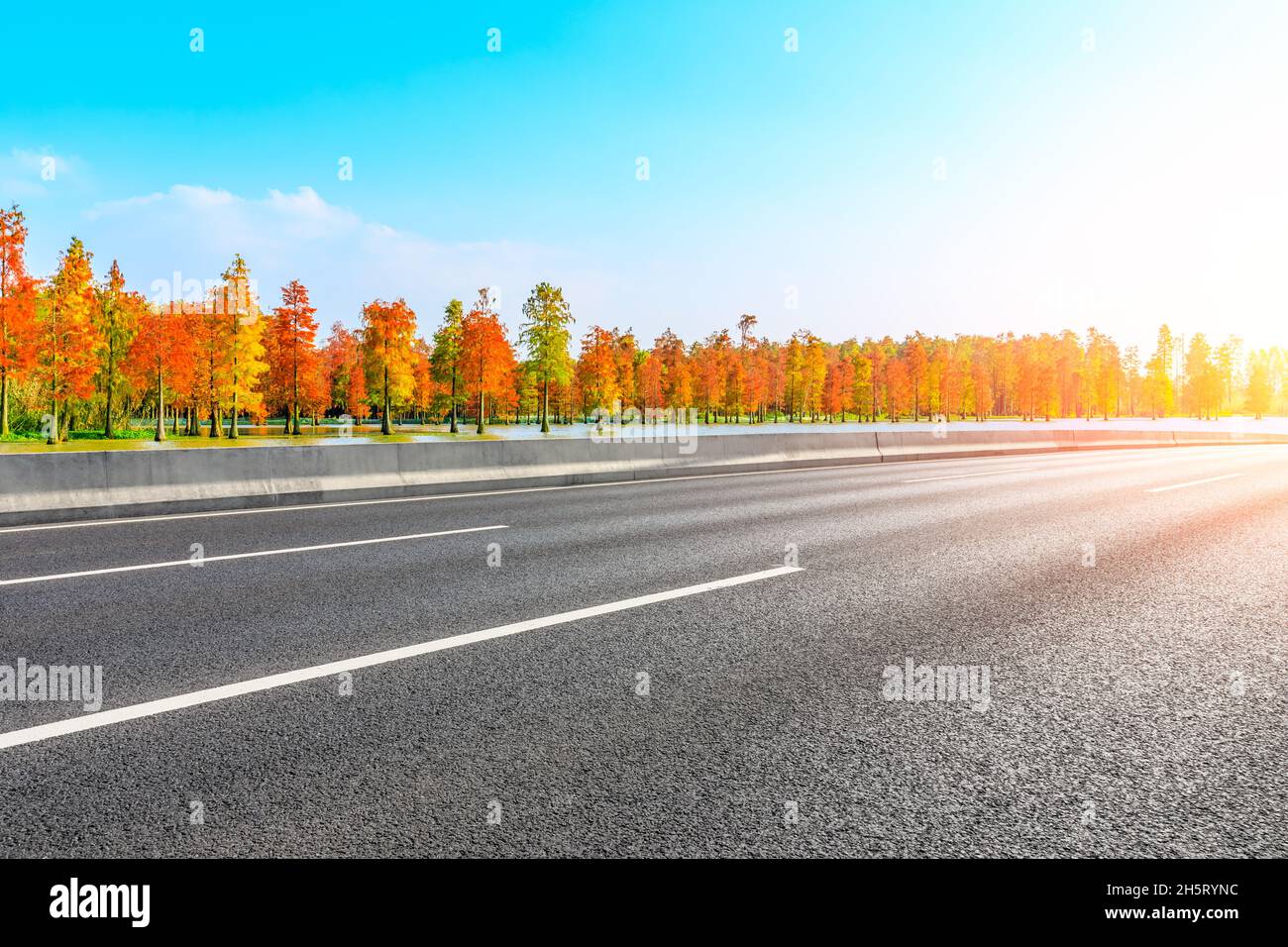 Asphalt road and colorful forest natural landscape in autumn season ...