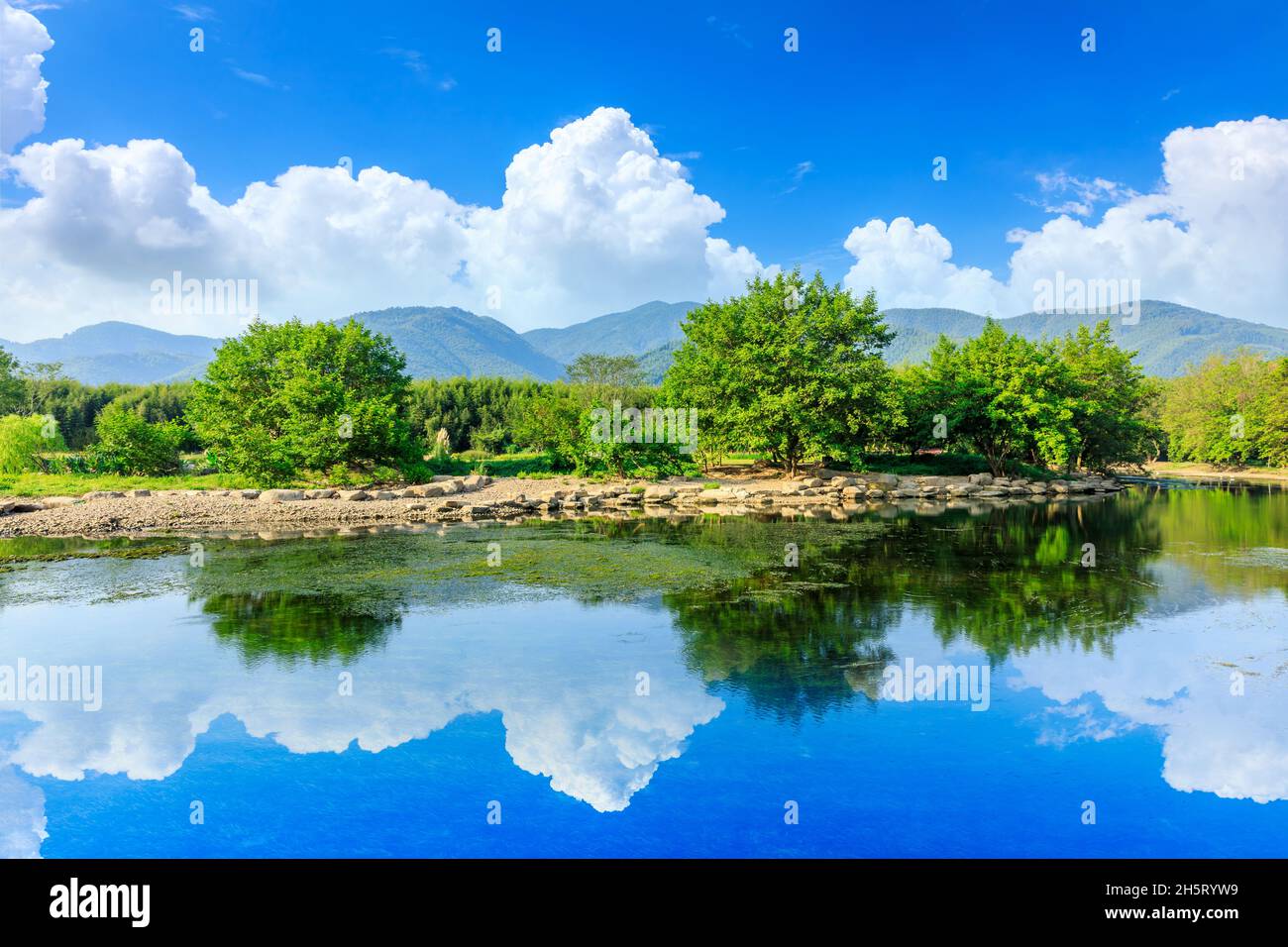 Natural landscape green forest river hi-res stock photography and ...