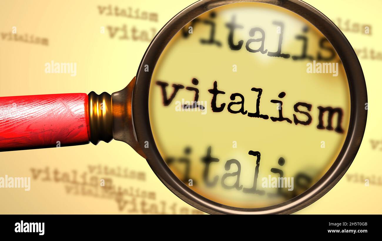 Vitalism - magnifying glass enlarging English word Vitalism to symbolize taking a closer look, analyzing or searching for an explanation and answers r Stock Photo