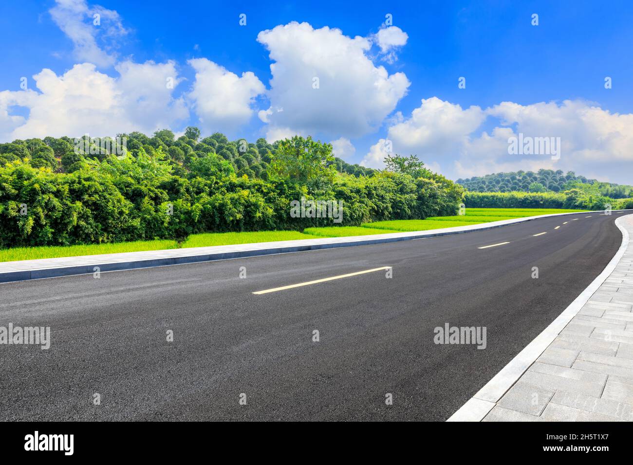Asphalt road and green forest under blue sky Stock Photo - Alamy
