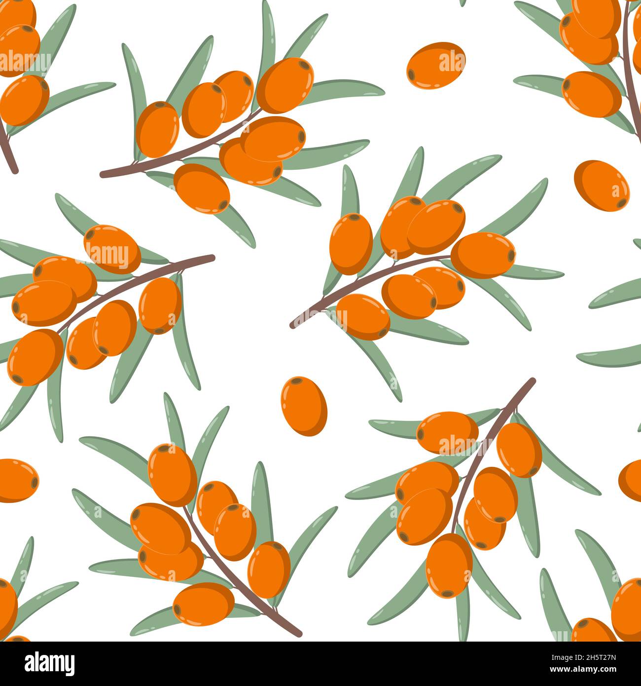 Sea buckthorn seamless pattern, vector illustration. Twigs with berries