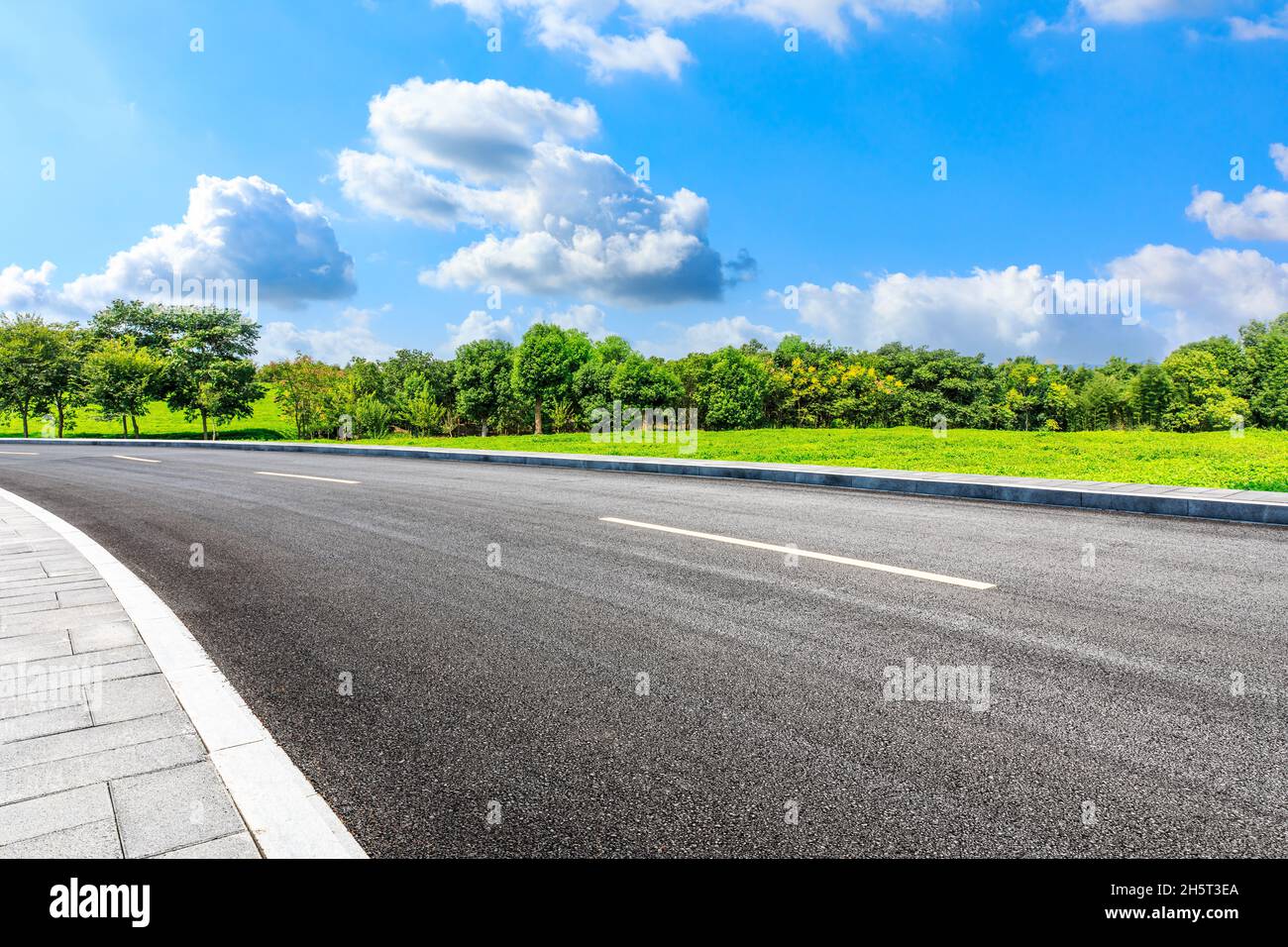 Asphalt road and green forest under blue sky Stock Photo - Alamy