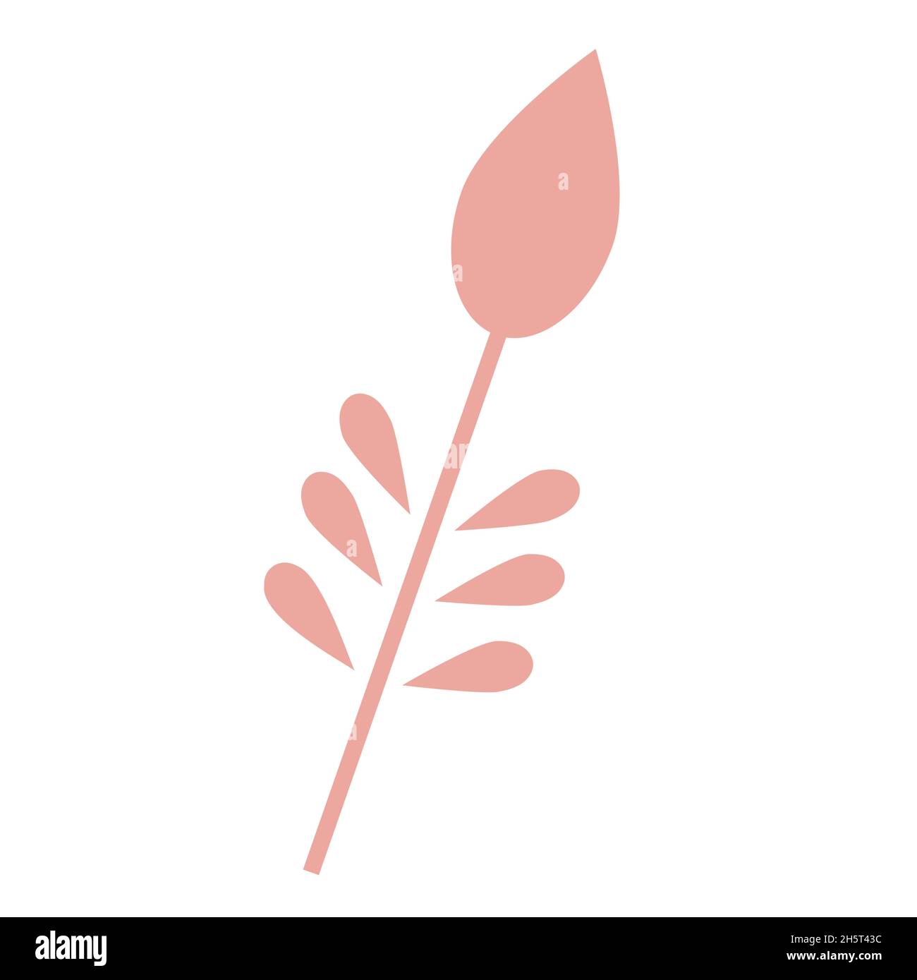 Bud with Leaf simple vector illustration. Grass nature Stock Vector ...