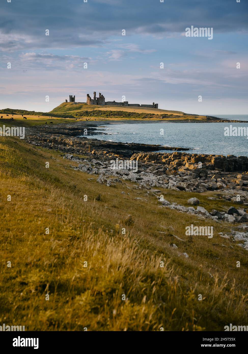 The Craster to Dunstanburgh Castle coastline - 14th-century fortification in the summer coast landscape of Northumberland northern England UK Stock Photo