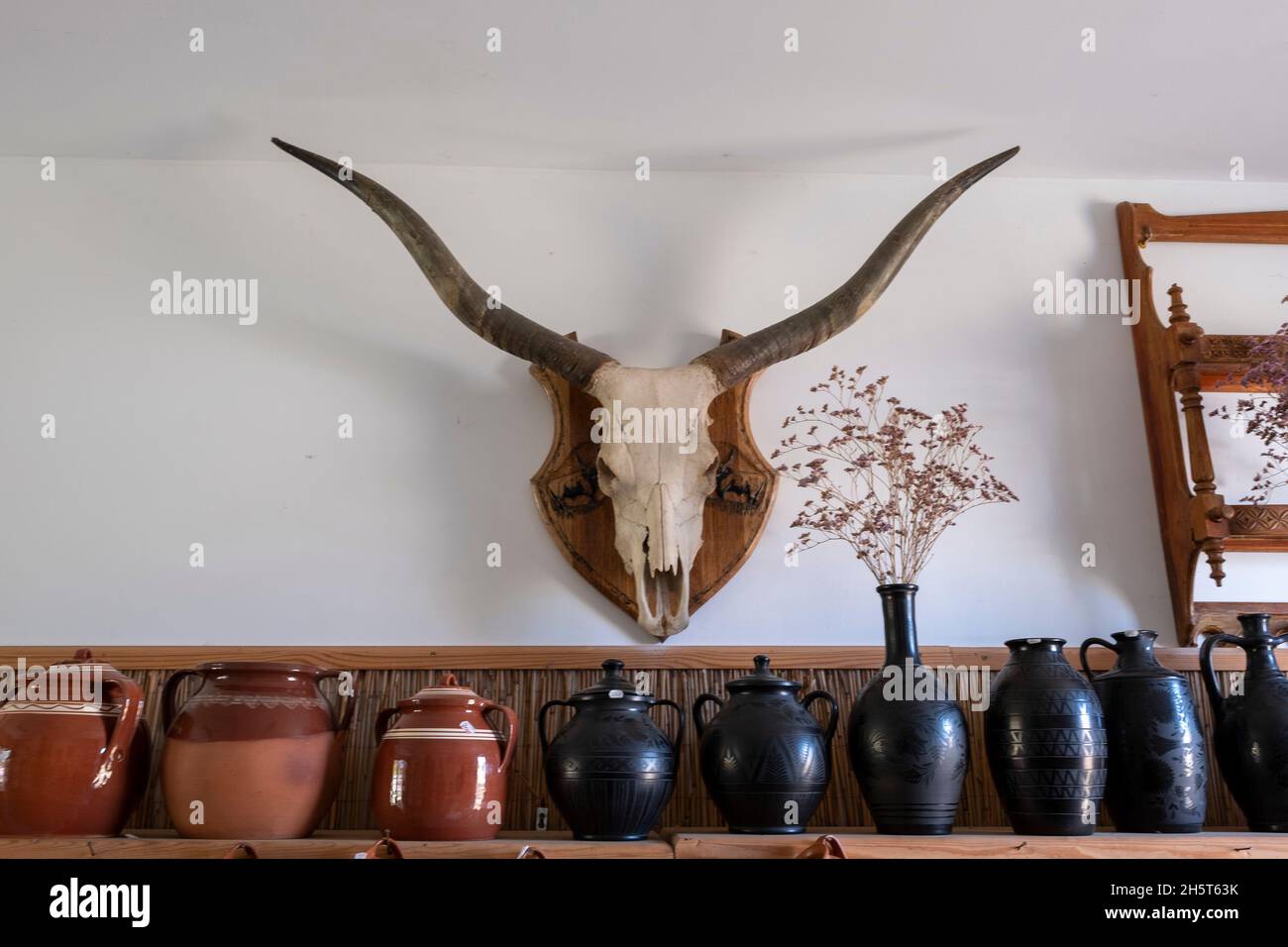 Horned cattle skull trophy on  the wall at Hortobágyi Csárda, Hortobagy National Park, Hungary Stock Photo
