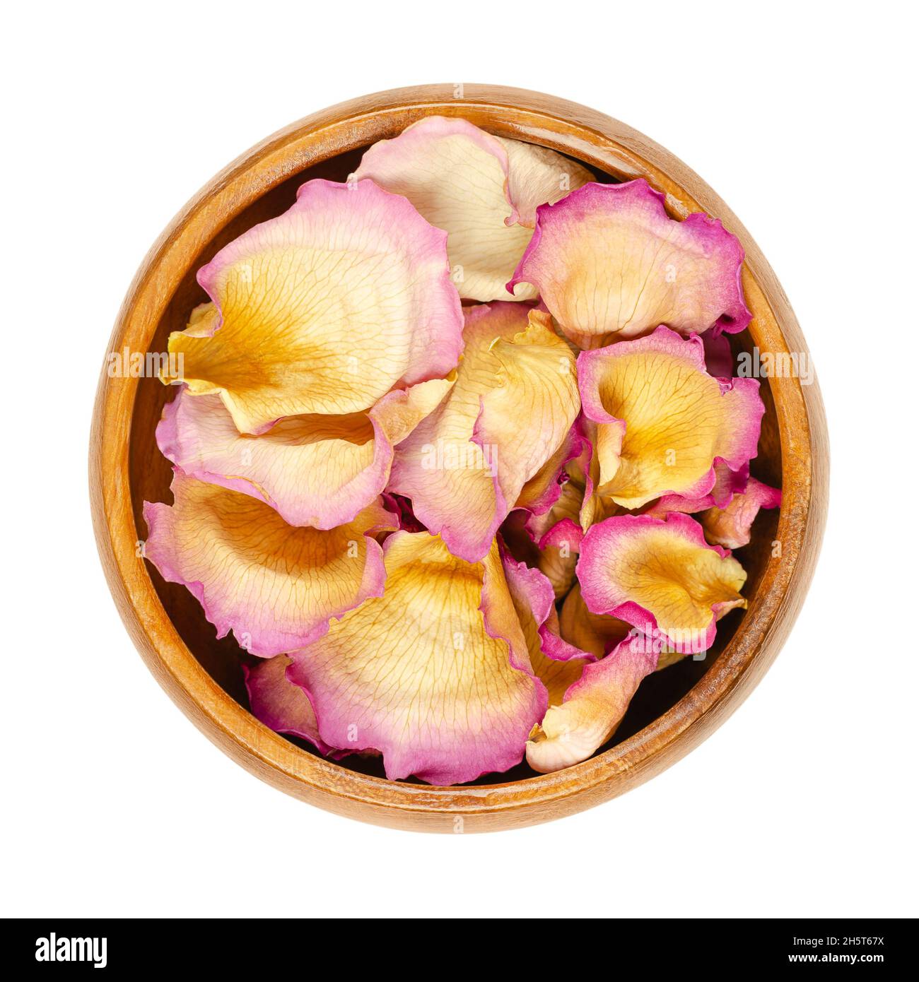 Dried whole rose petals in a wooden bowl. Petals of a light pink colored garden rose, called China, Chinese or Bengal rose. Rosa chinensis. Stock Photo