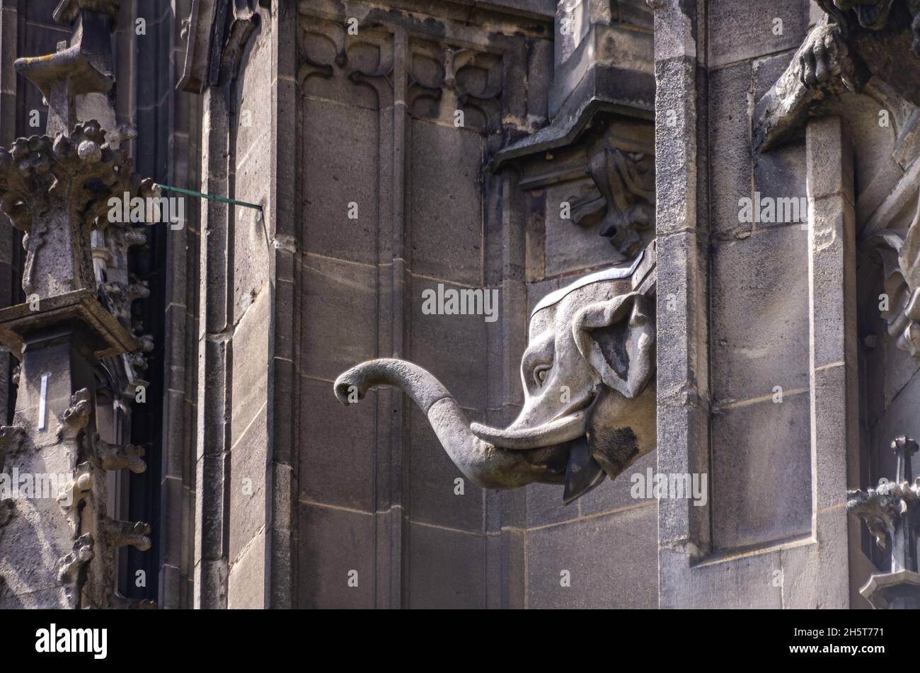 Ulm, Baden-Württemberg, Germany: Waterspout, executed as an elephant's head in stone, on the South side of the Minster. Stock Photo