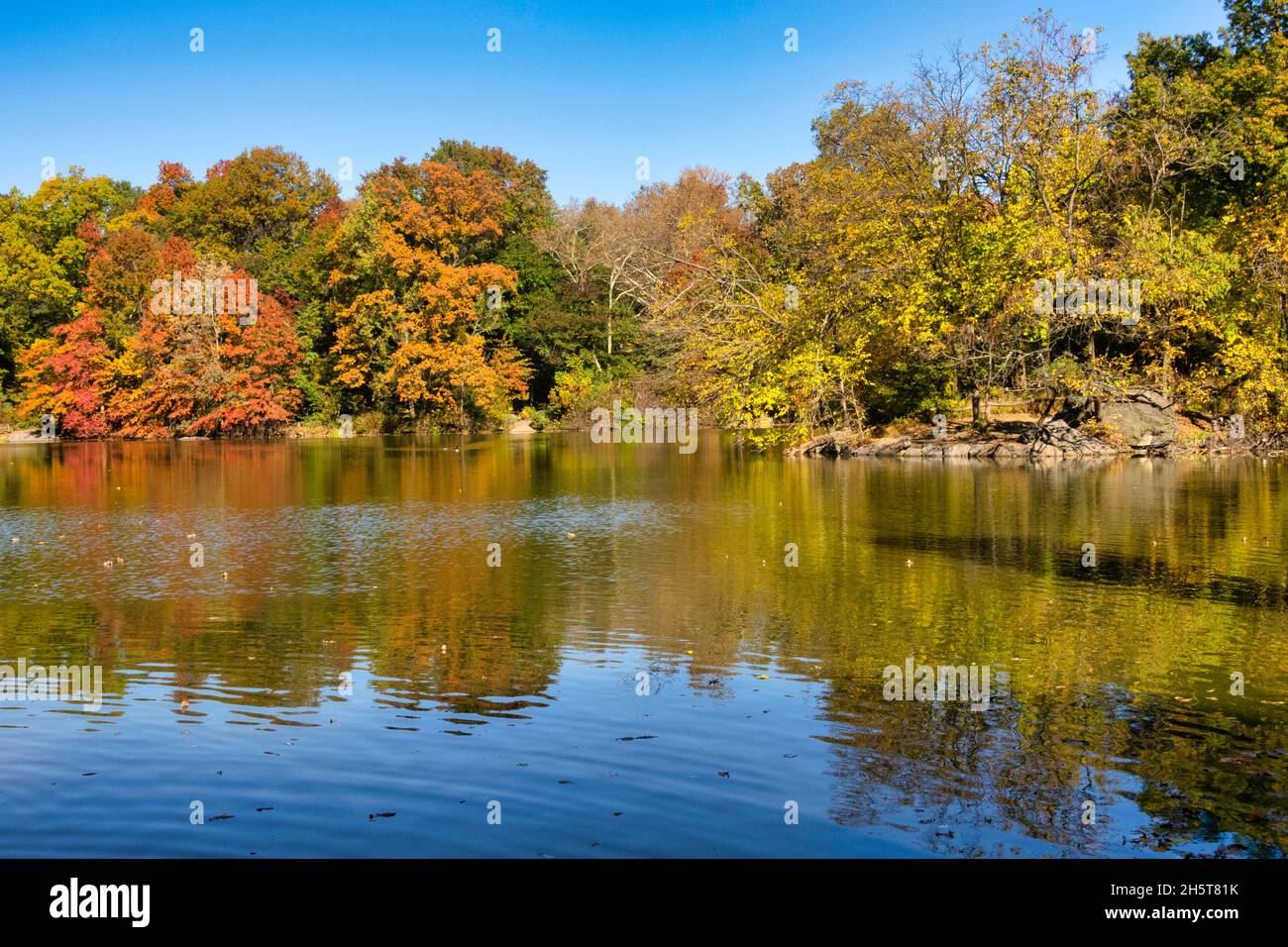 Central Park is popular in the fall season, New York City, USA Stock