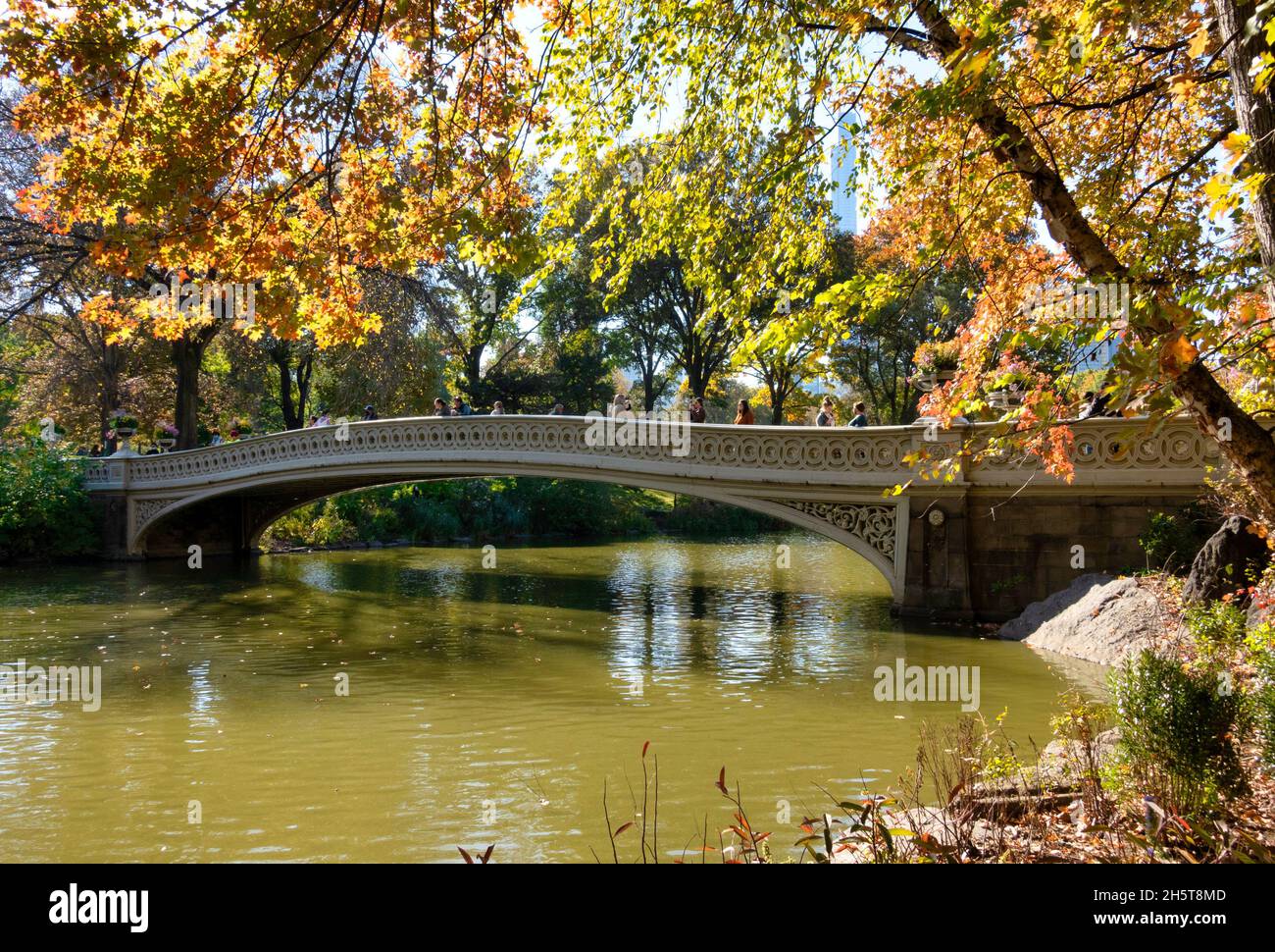 Central Park is popular in the fall season, New York City, USA Stock