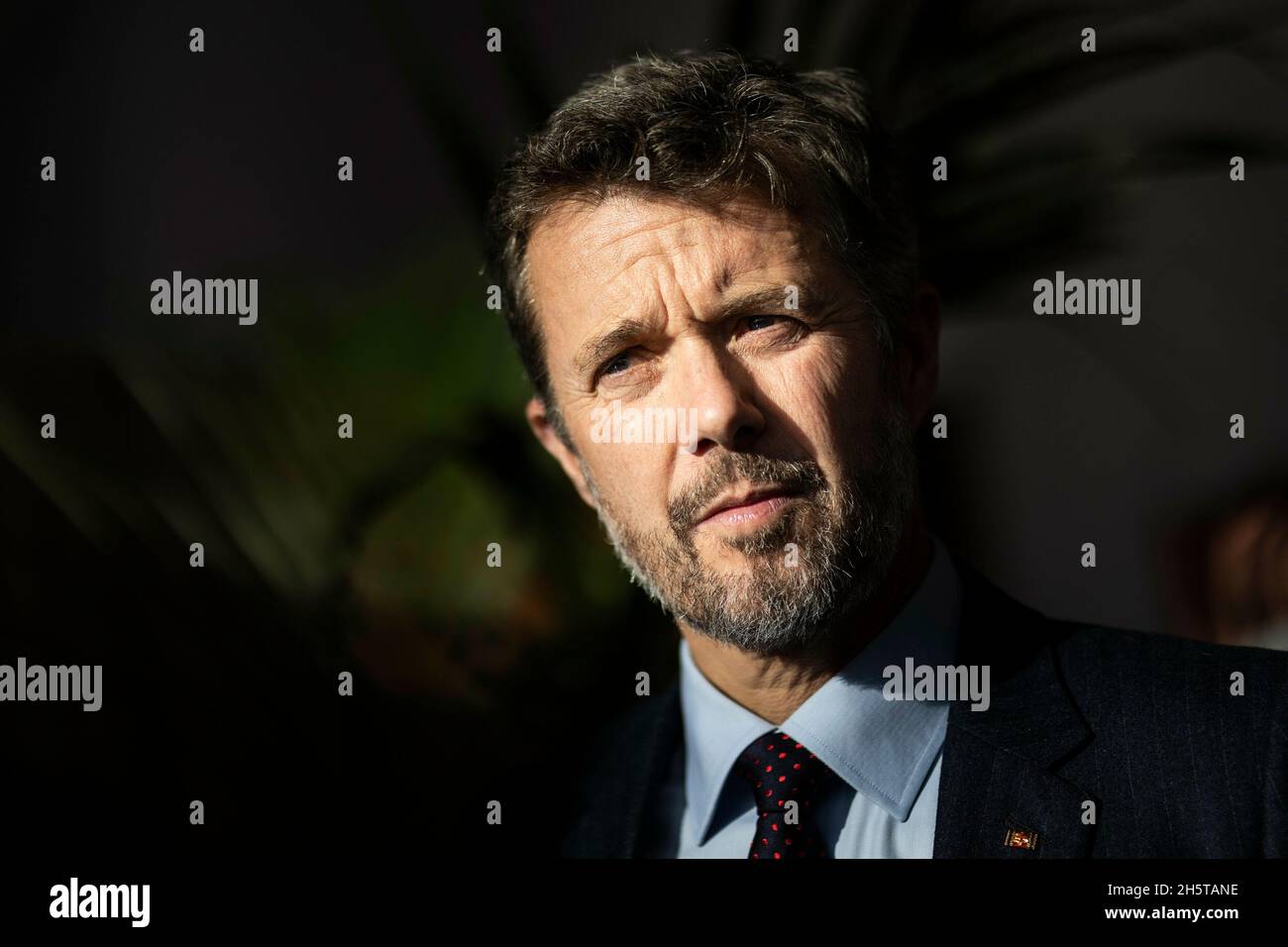 Crown Prince Frederik of Denmark, taken during the Danish Economic