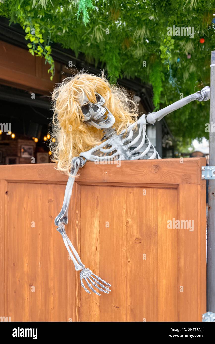 Female skeleton blonde wig hi-res stock photography and images - Alamy