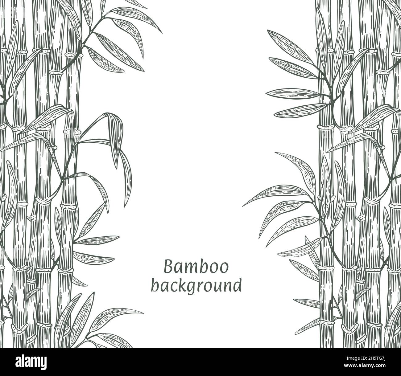 Frame made of bamboo branches. Ink sketch on a white background, engraved  on both sides. Vector illustration Stock Vector Image & Art - Alamy
