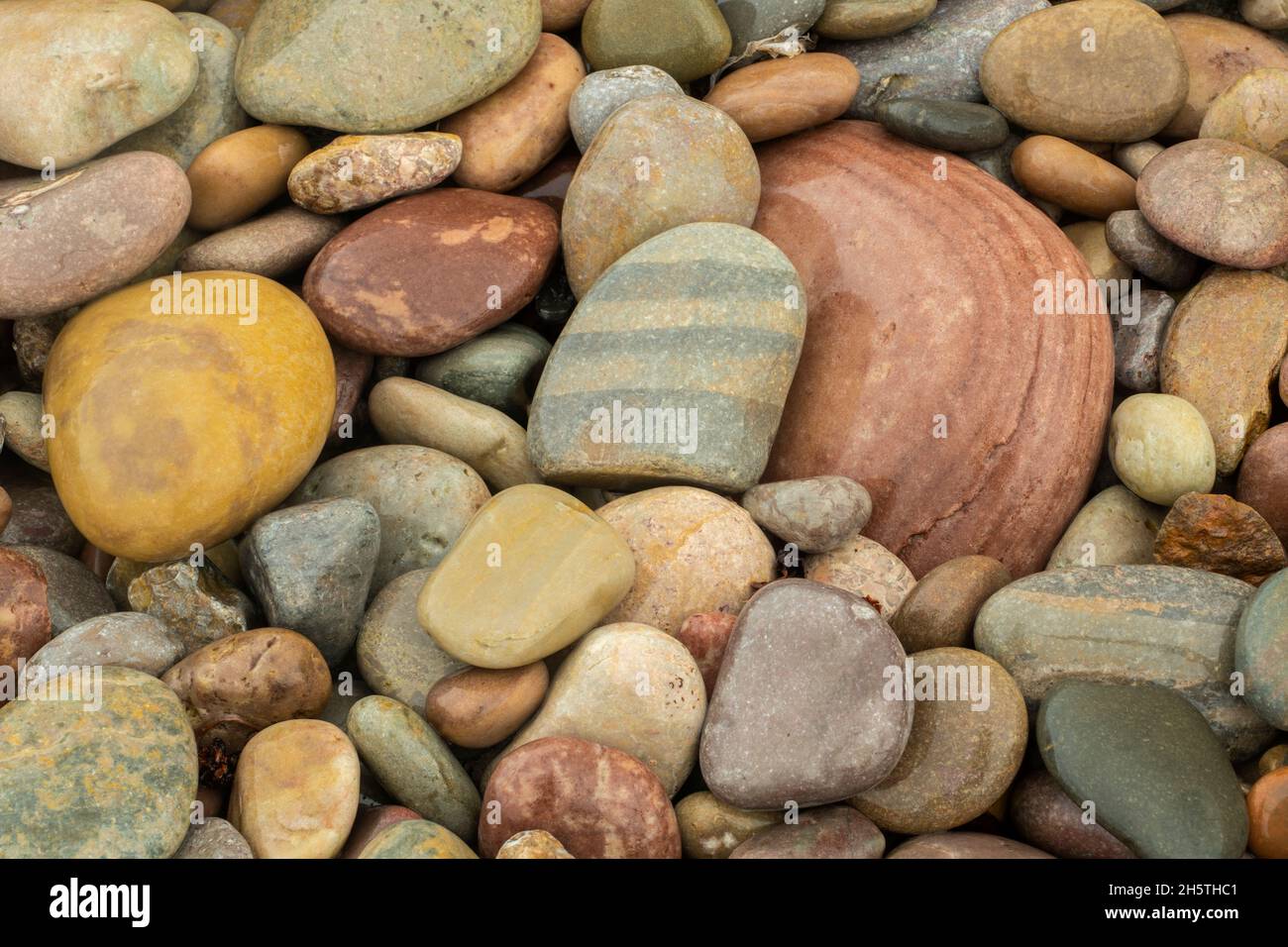 Beach pebbles, Sheaves Cove, Newfoundland and Labrador NL, Canada Stock