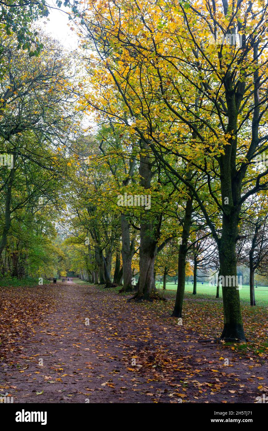 Dorridge Park in autumn, Dorridge, West Midlands, England, UK Stock Photo