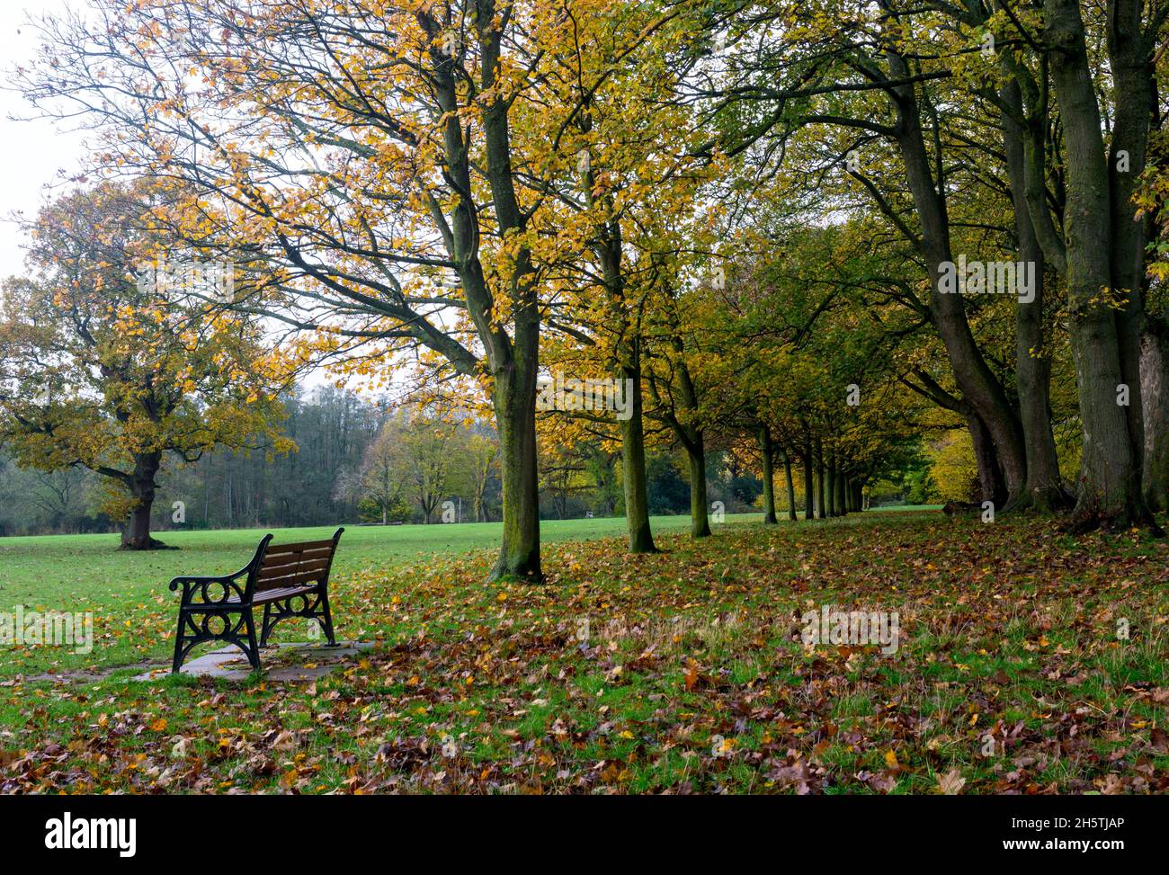 Dorridge Park in autumn, Dorridge, West Midlands, England, UK Stock Photo