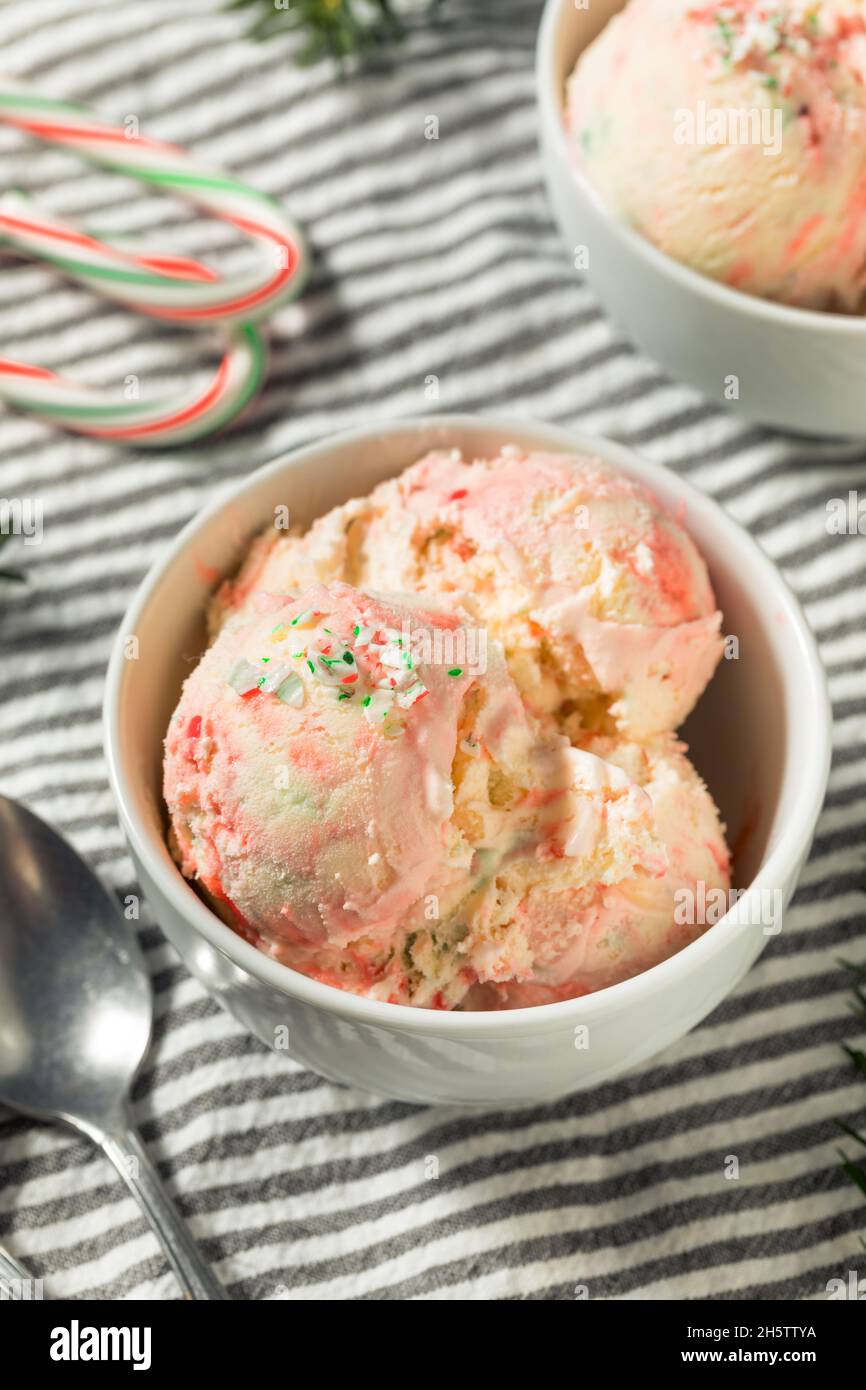 Homemade Christmas Candy Cane Ice Cream with Peppermint Stock Photo Alamy