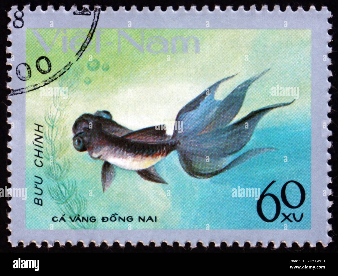 VIETNAM - CIRCA 1977: a stamp printed in Vietnam shows dong nai goldfish, carassius auratus, freshwater fish, circa 1977 Stock Photo