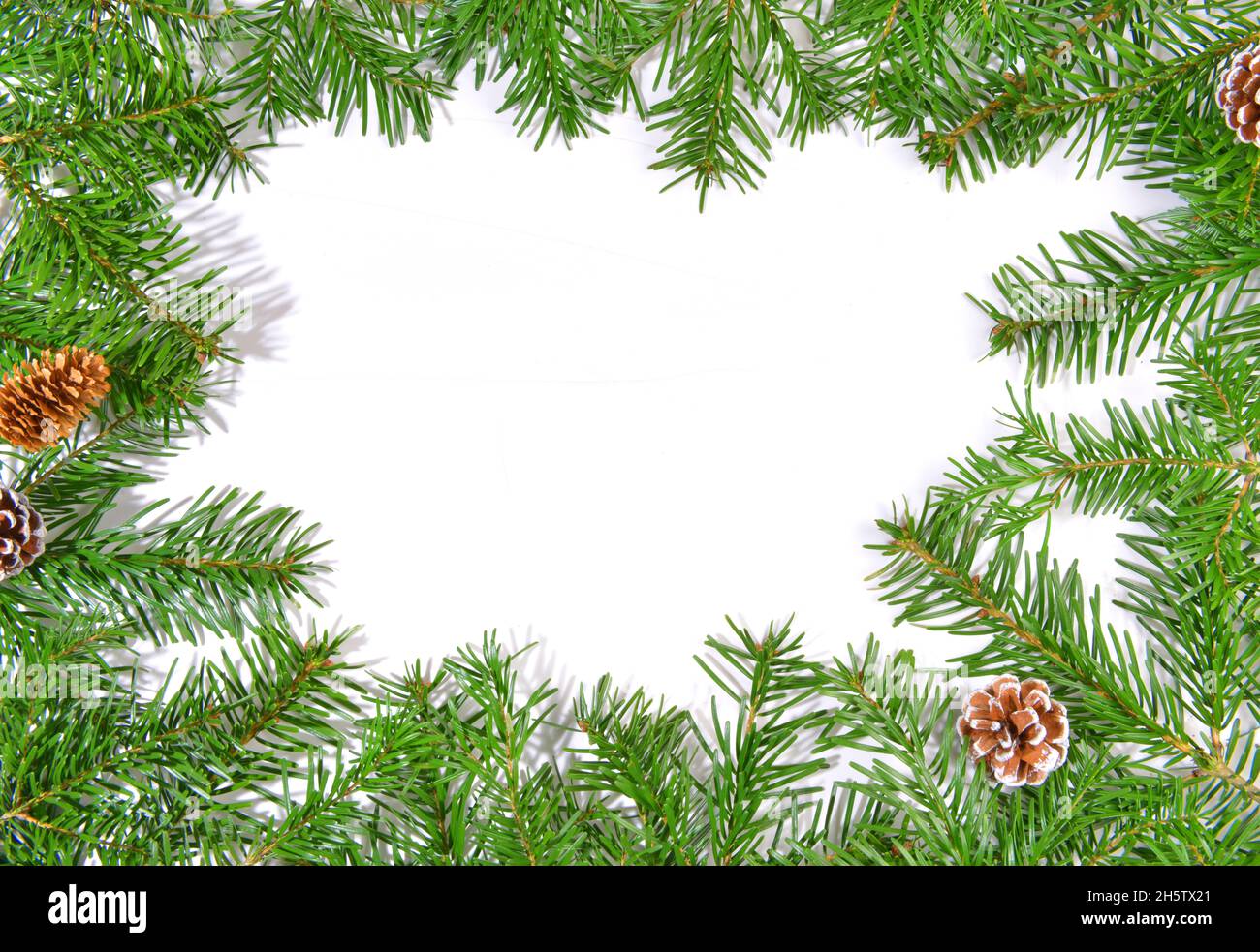 Christmas Fir Branches onwhite Paper, with Fir Cones  isolated on white Background Stock Photo