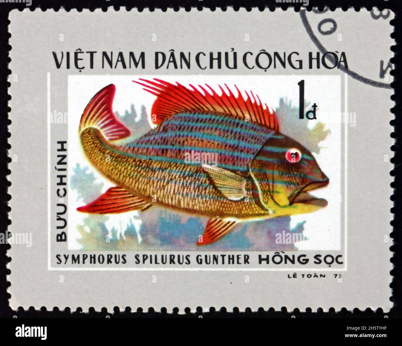 VIETNAM - CIRCA 1976: a stamp printed in Vietnam shows sailfin snapper, symphorus spilurus, is a species of snapper native to the Indo-Pacific region, Stock Photo