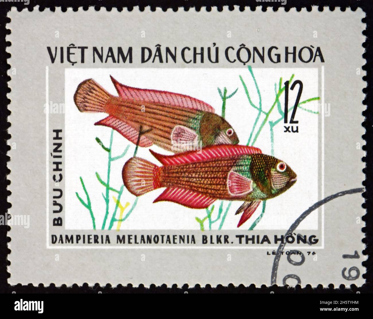 VIETNAM - CIRCA 1976: a stamp printed in Vietnam shows fire-tailed dottyback, dampieria melanotaenia, is a species of ray finned fish which occurs in Stock Photo