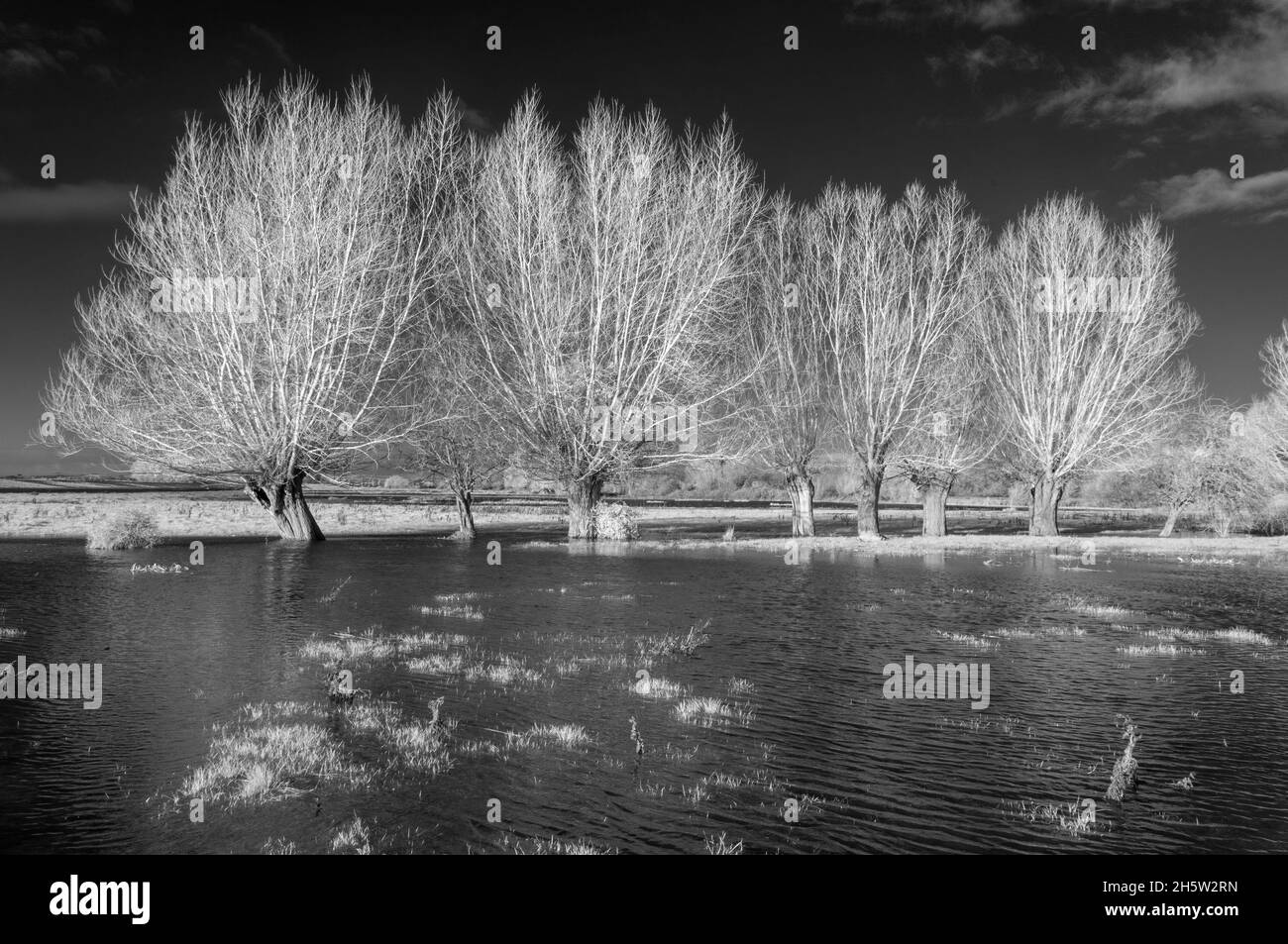 Infrared image of flood waters on Aller Common Moor where River Parrett overflows down the spillway close to Monks Leaze Clyse. Somerset, England, UK Stock Photo