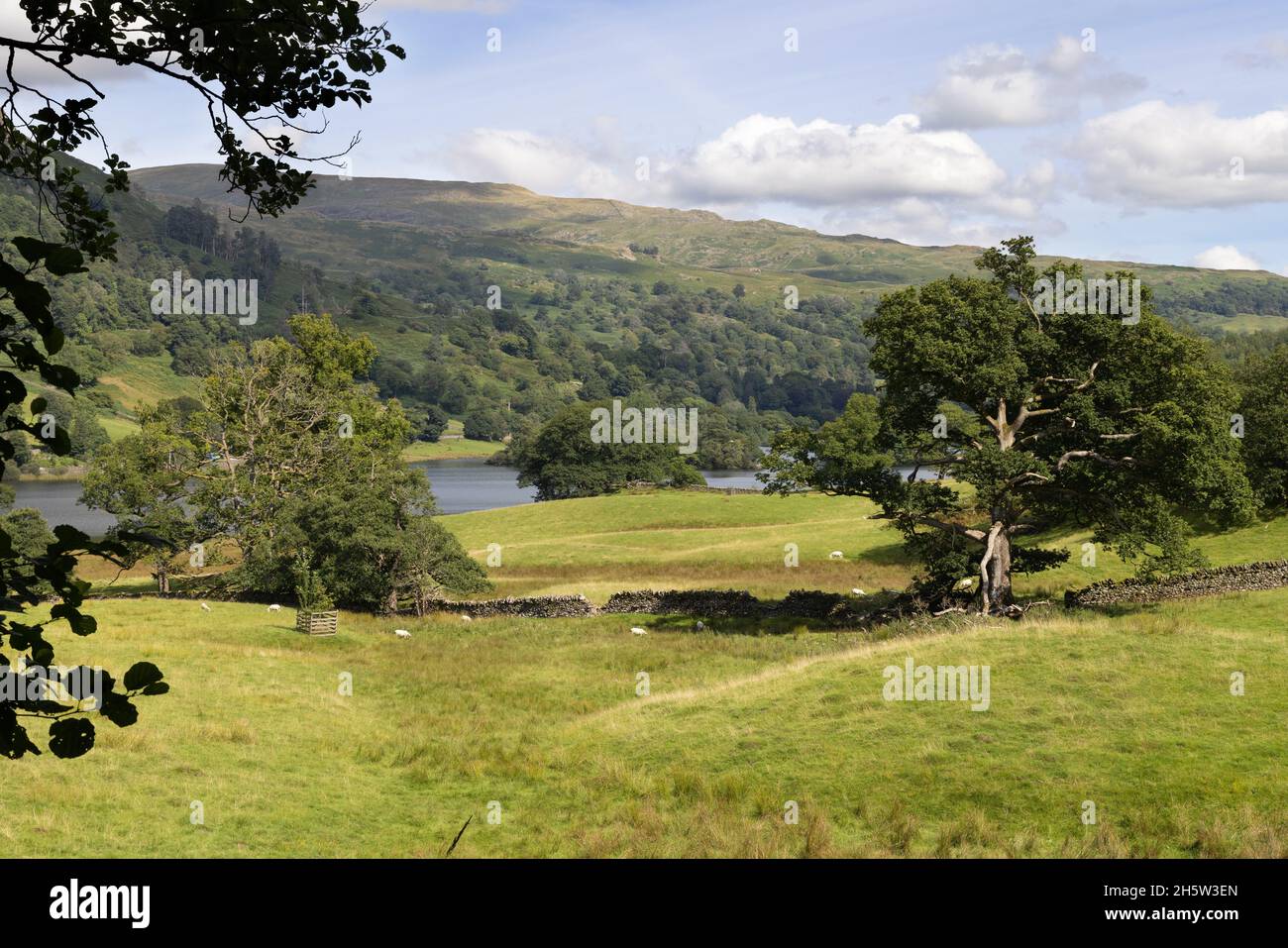 Lake District landscape UK; Rydal Water, on a sunny summer day, The Lake District National Park, Cumbria UK; English countryside. Stock Photo