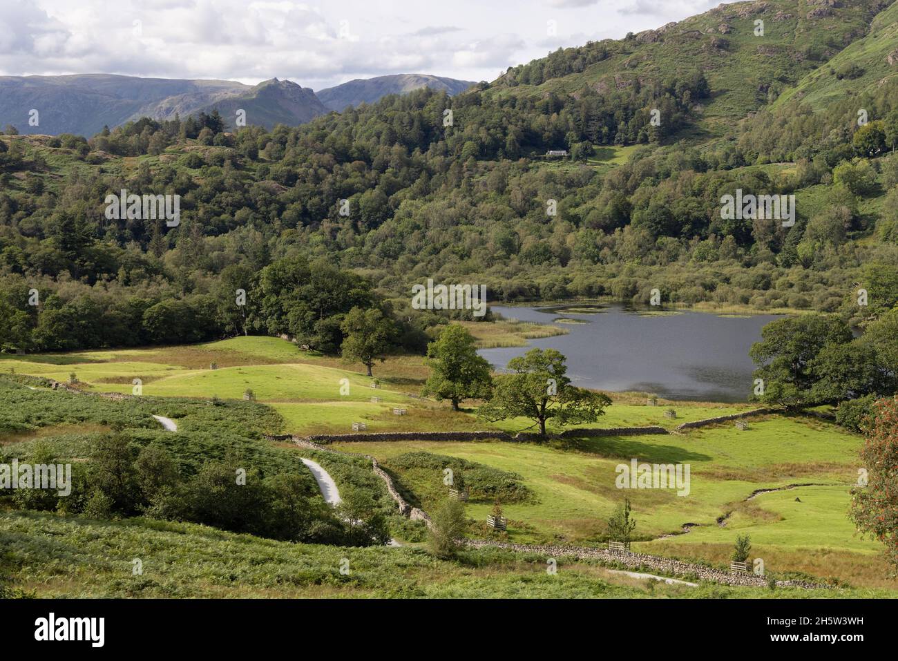 Lake District landscape UK; Rydal Water, on a sunny summer day, The Lake District National Park, Cumbria UK; British countryside. Stock Photo