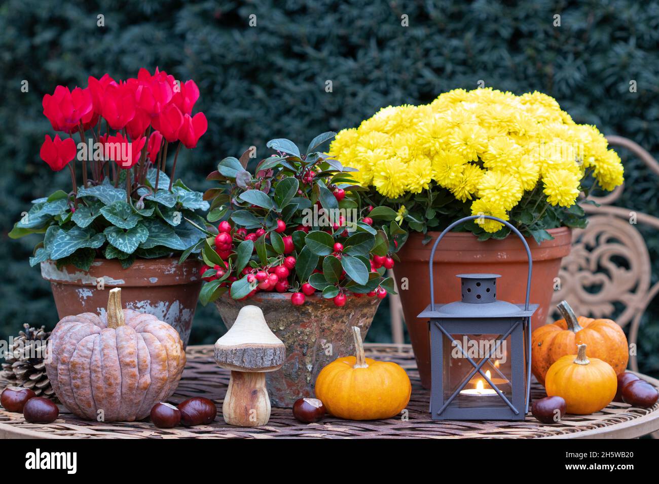decoration with autumn flowers, pumpkins and lantern Stock Photo
