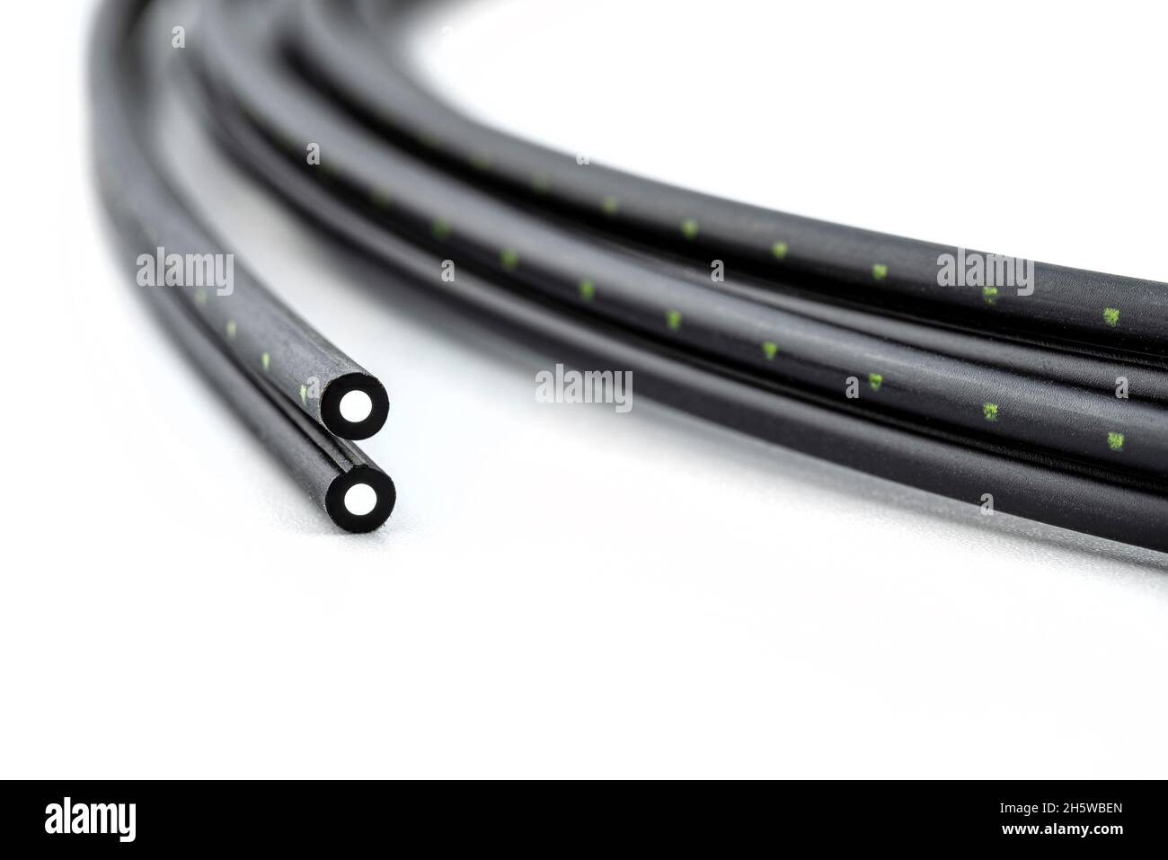 Macro photo of two cut ends of a fiber optic cable, isolated on a white