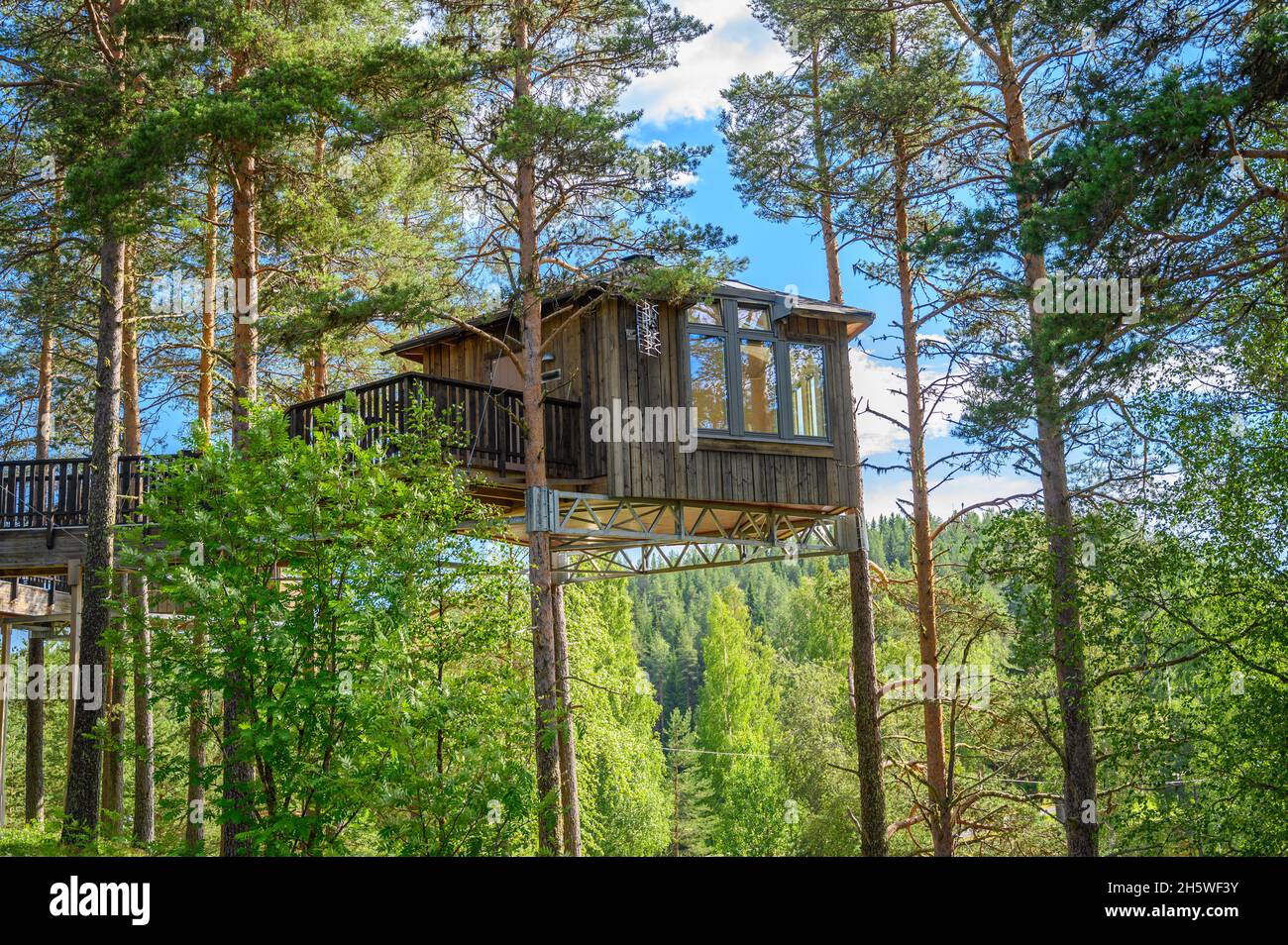 Beautiful outdoor rural wooden structure tree house in the forest based on the pine tree in a green summer wonderland in europe Stock Photo