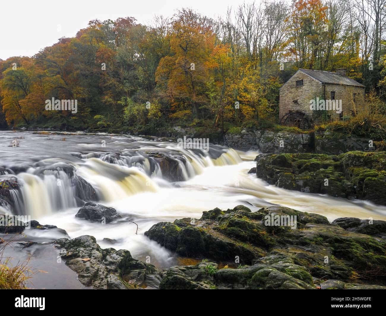 Water falls at Cenarth, Wales Stock Photo
