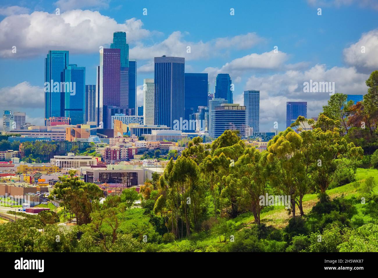 Spring morning light hits the tree filled hillside in front of the Los Angeles skyline in Southern California Stock Photo