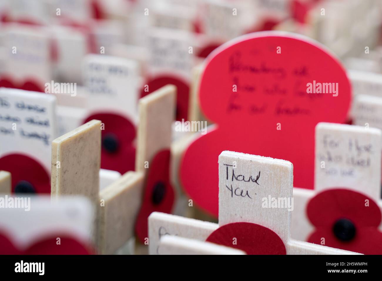 Thank you day 2021 hires stock photography and images Alamy