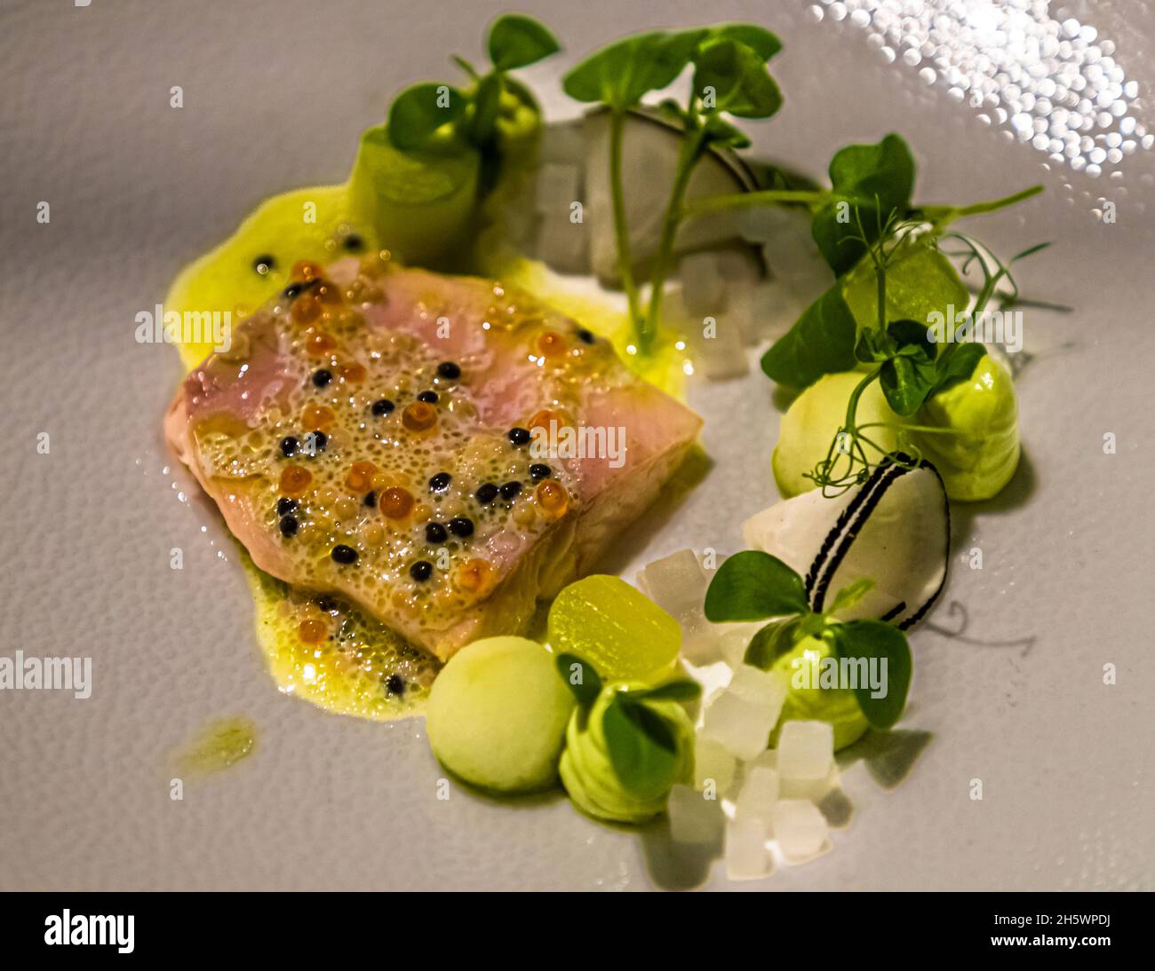 Arctic trout with dill, apple and cucumber in the restaurant Cèpes of the Hotel Sterrenberg in Otterlo, Netherlands Stock Photo