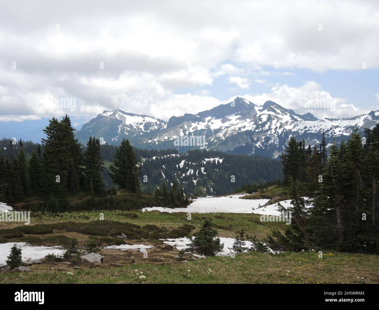 Mountainscape in Mount Rainier National Park, USA Stock Photo