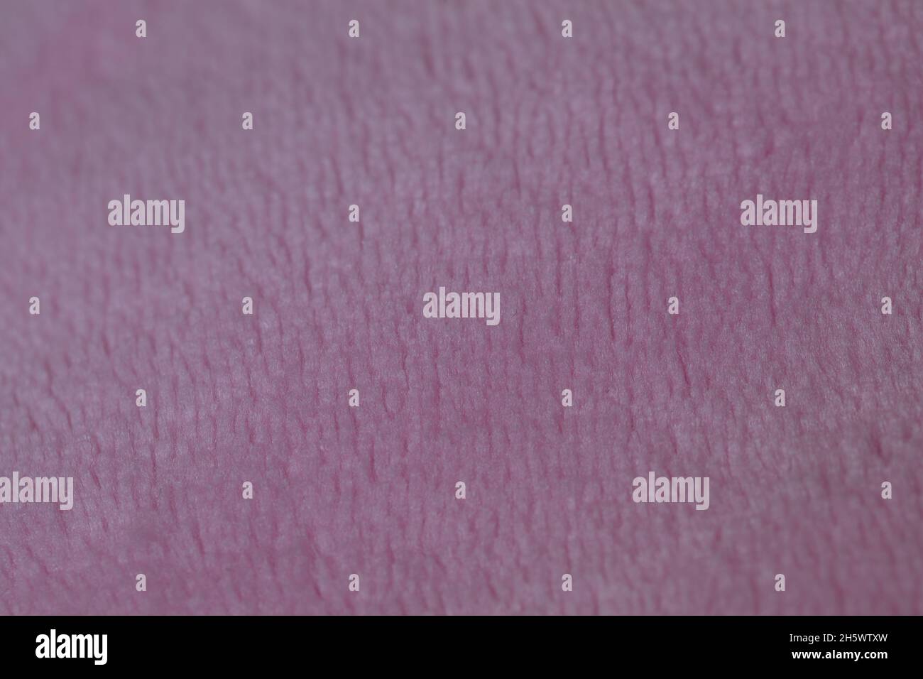Purple velour texture hi-res stock photography and images - Alamy