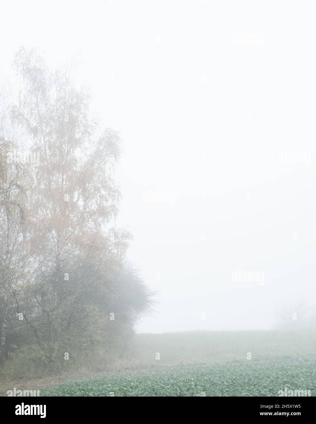 Taunus im Herbst Stock Photo