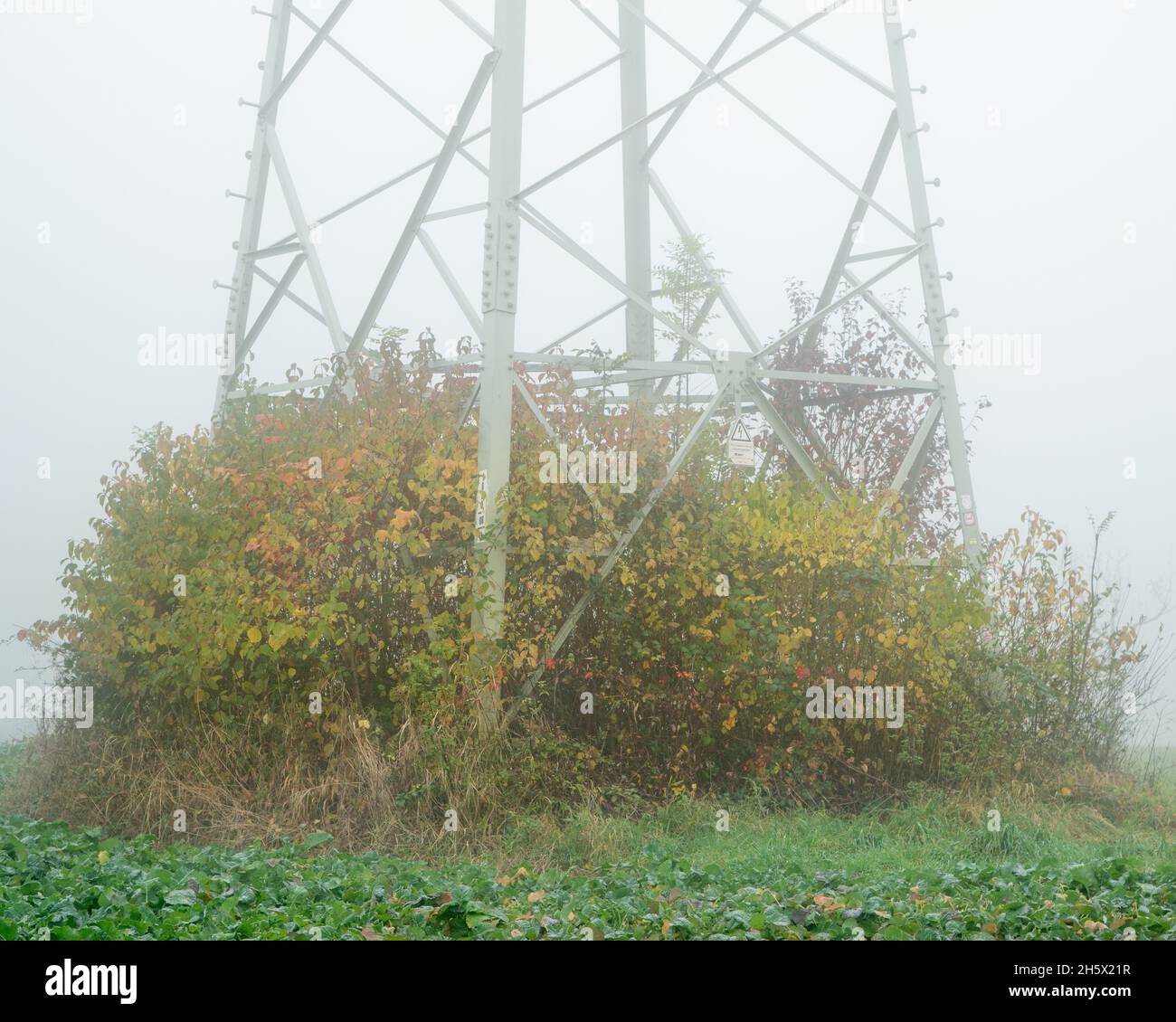 Taunus im Herbst Stock Photo