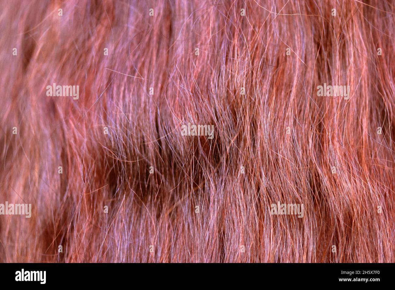 Henna shiny red ginger slightly wavy hair background and texture up
