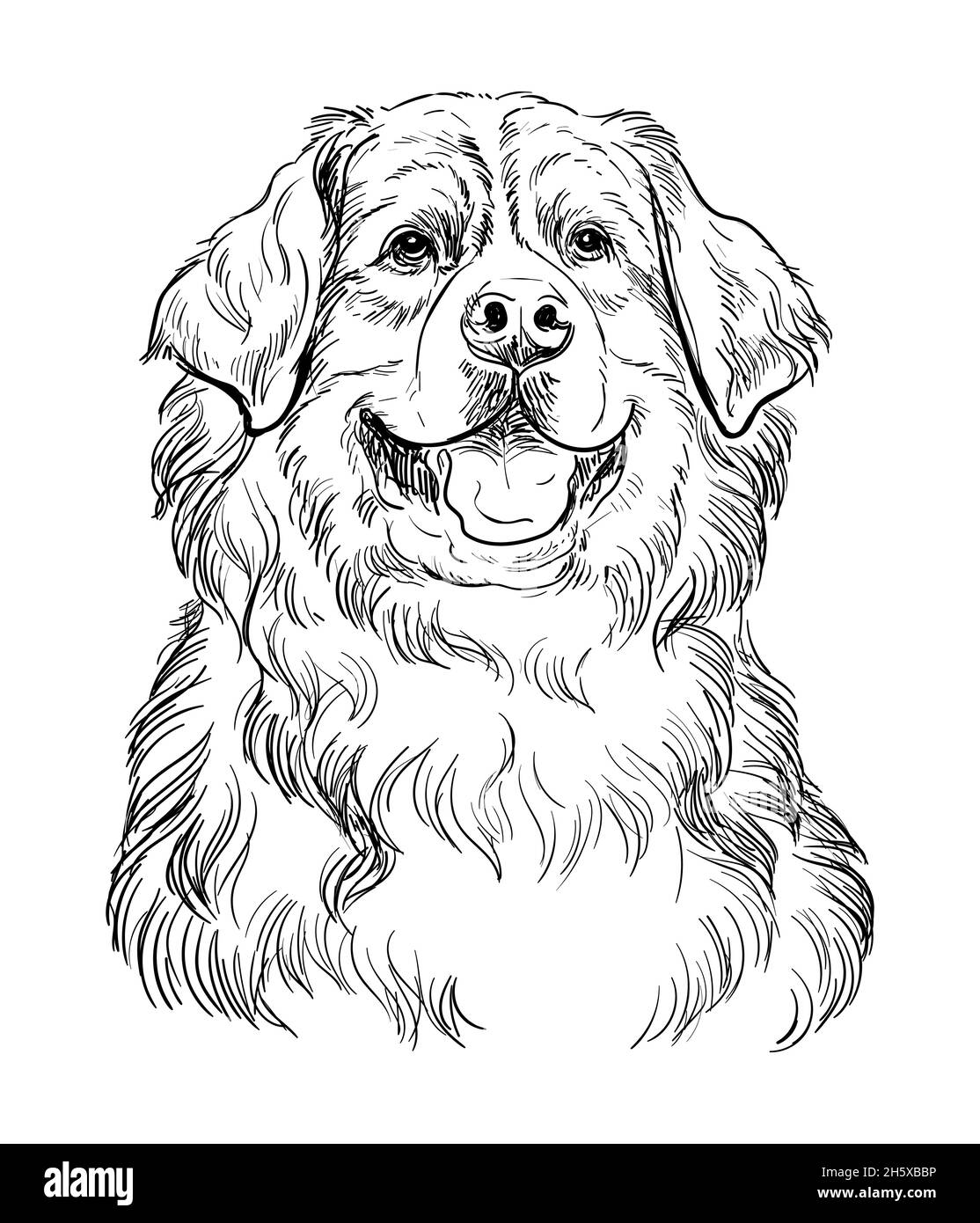 Page 10 - Puppy Pen High Resolution Stock Photography and ...