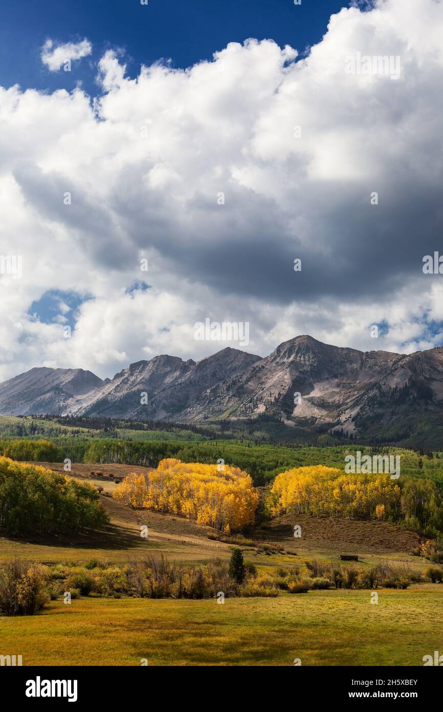 Fall colors on Aspen trees near the summit of Ohio Pass in the West Elk Mountains near Crested Butte, Colorado Stock Photo