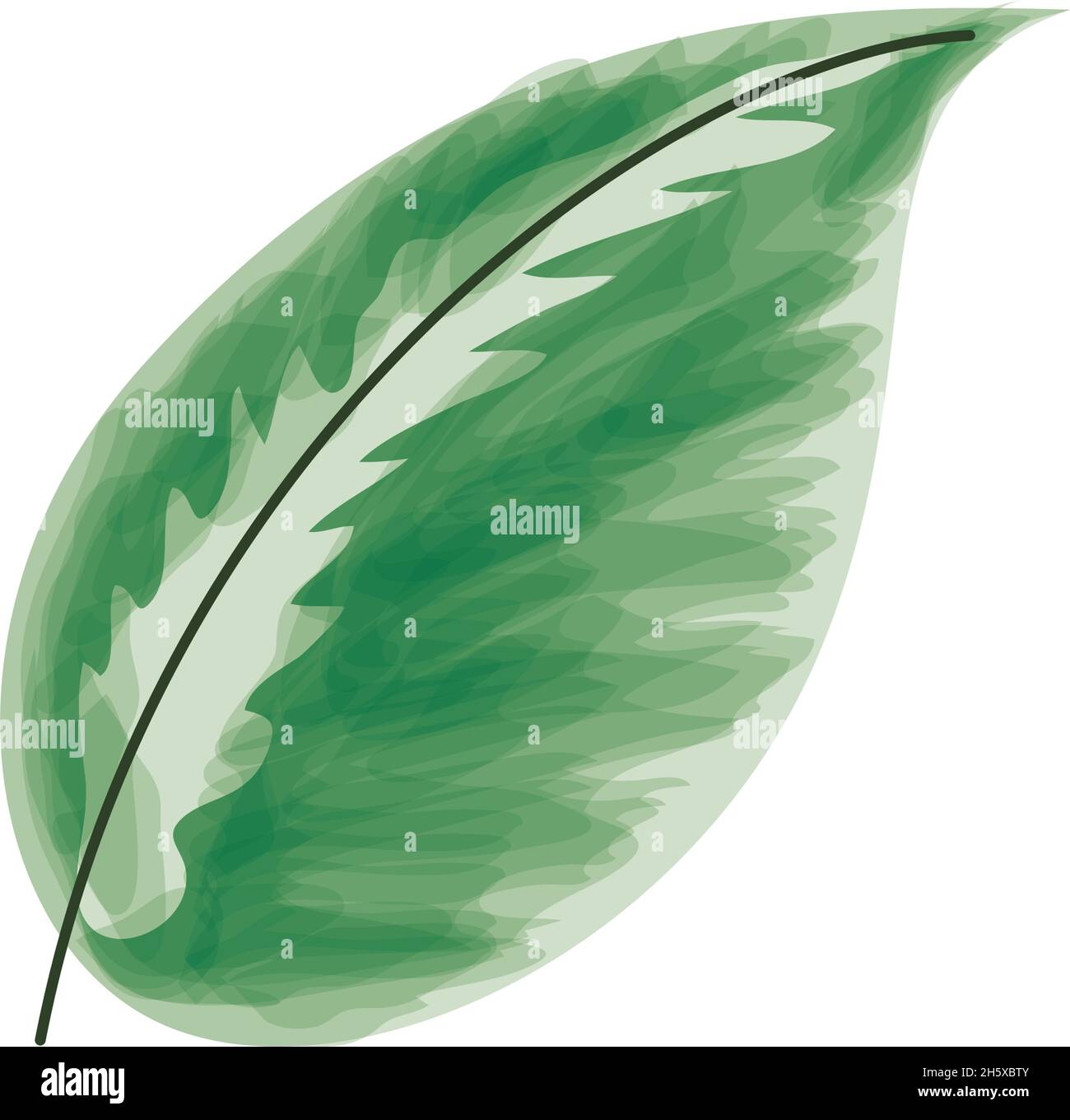 leaf plant organic icon Stock Vector Image & Art - Alamy