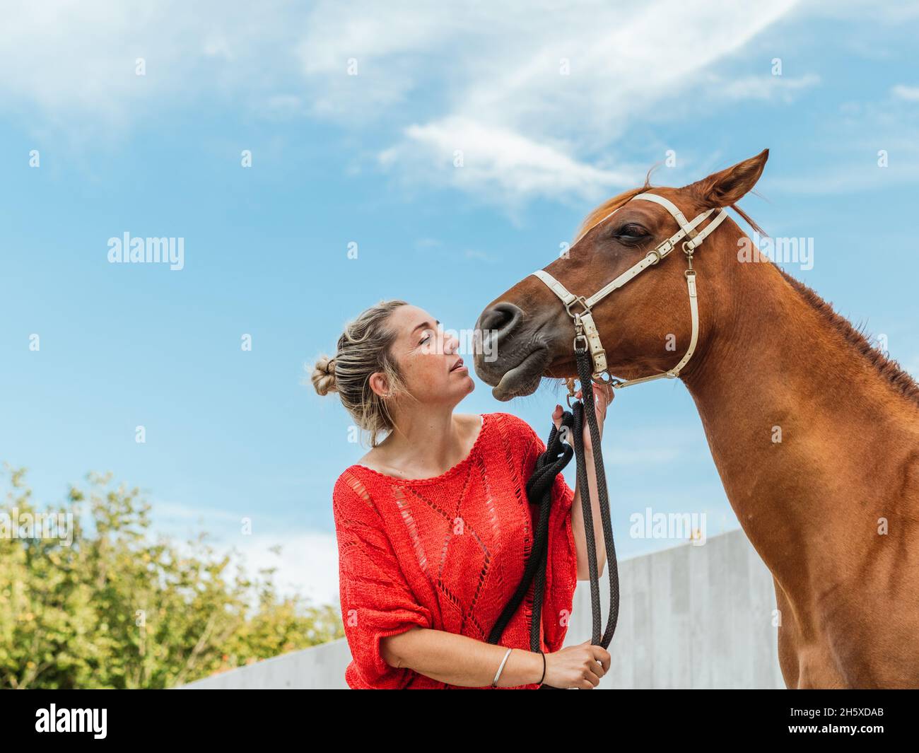 Gentle female rider holding bridle of chestnut horse in yard in summer day in countryside Stock Photo