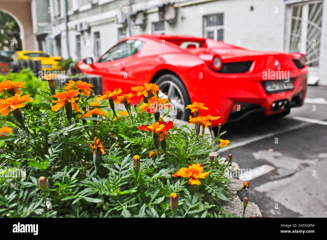 Kiev, Ukraine; April 10, 2014. Flowers on the background of the supercar. Ferrari 458 Italia Spider. Spring Stock Photo